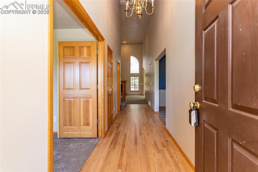 Lansbury Pl, Colorado Springs, CO 80906 #1