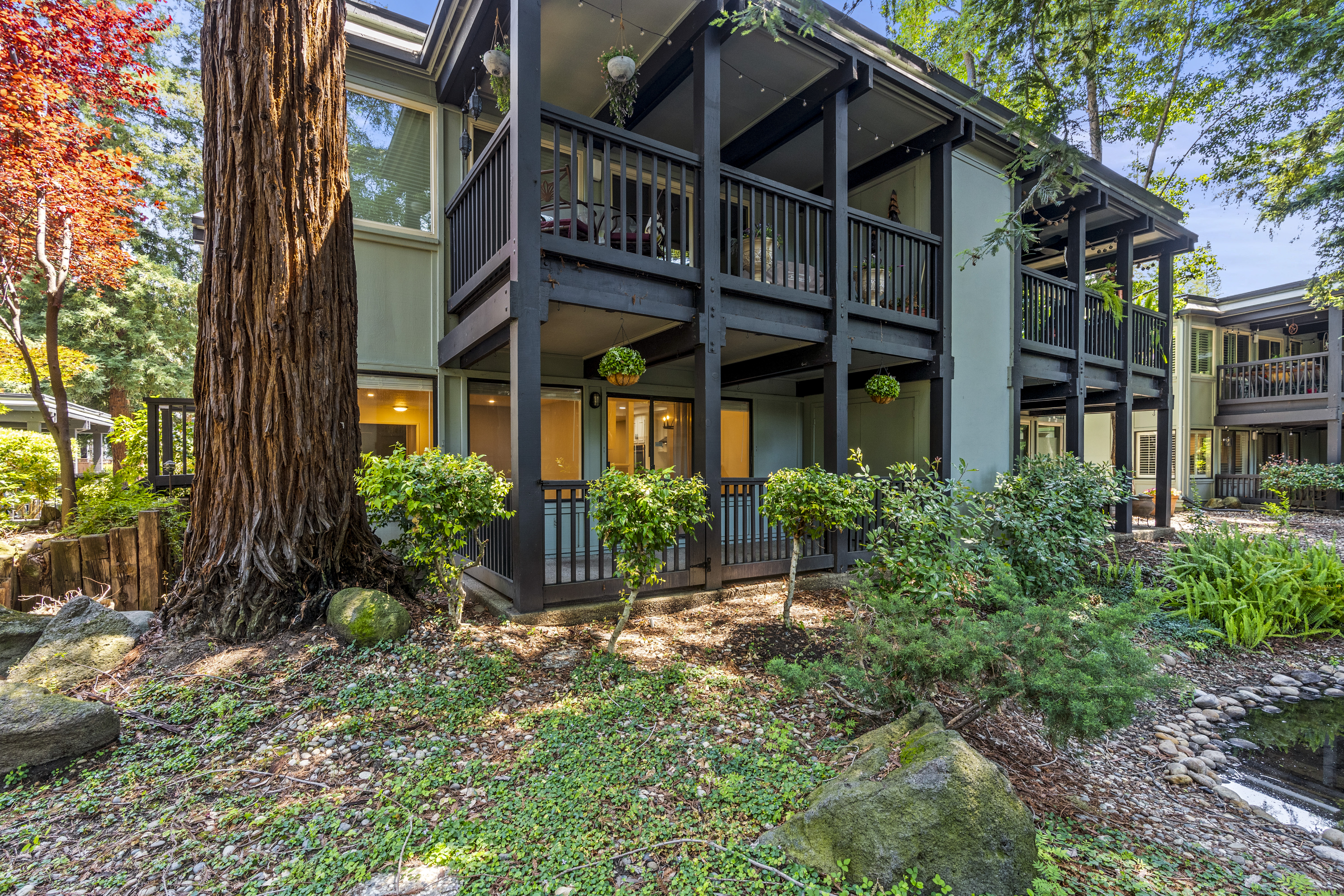  Tranquil Westside Danville Condominium Surrounded by Majestic Redwoods - 物件實景