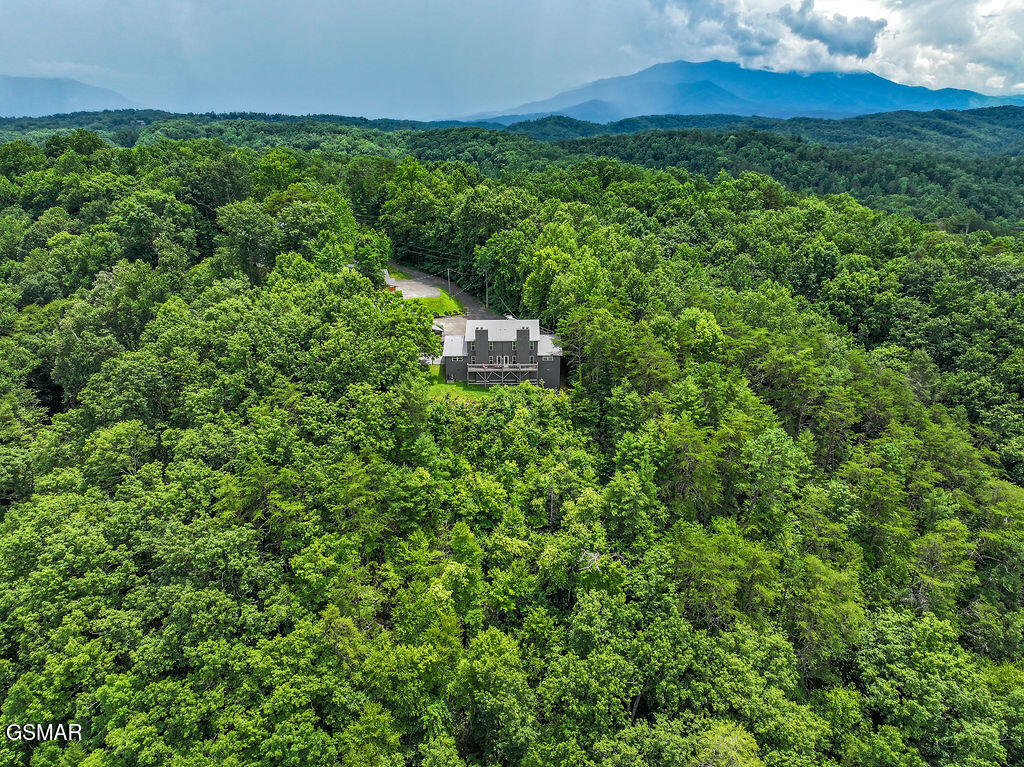 Sevierville, Tennessee, 37876, United States, 4 Bedrooms Bedrooms, ,6 BathroomsBathrooms,Residential,For Sale,2008845