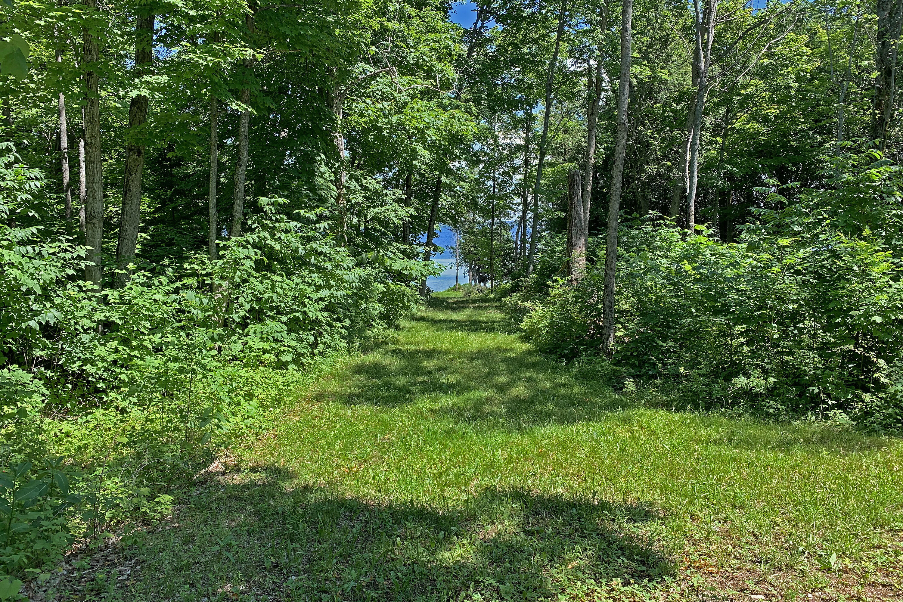  Central Manitoulin, - 物件實景