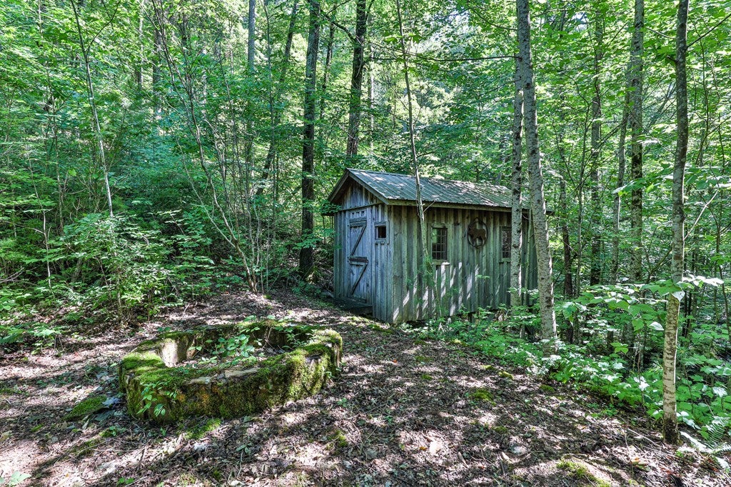 Cherry Log, Georgia, 30522, United States, ,Land,For Sale,1858995