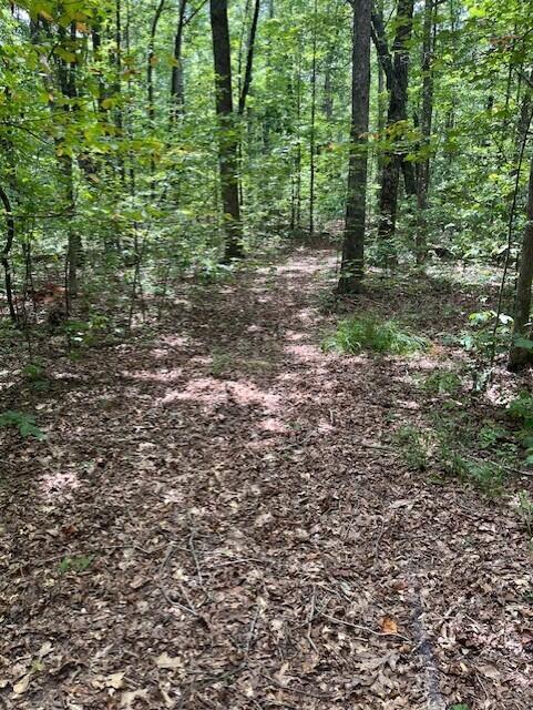 Graysville, Tennessee, 37338, United States, ,Residential,For Sale,1943907