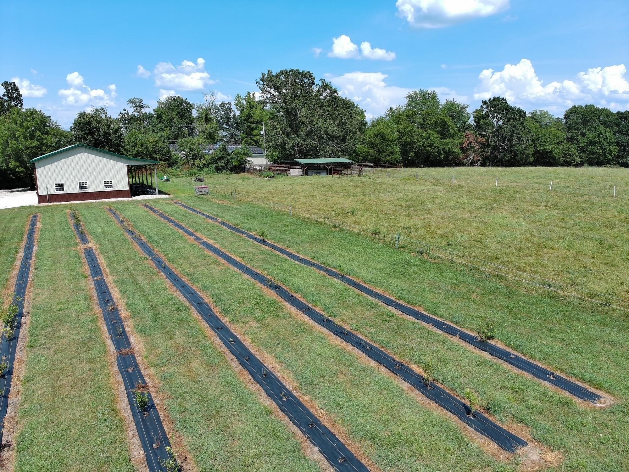 Rogersville, Missouri, 65742, United States, 3 Bedrooms Bedrooms, ,2 BathroomsBathrooms,Residential,For Sale,1979438