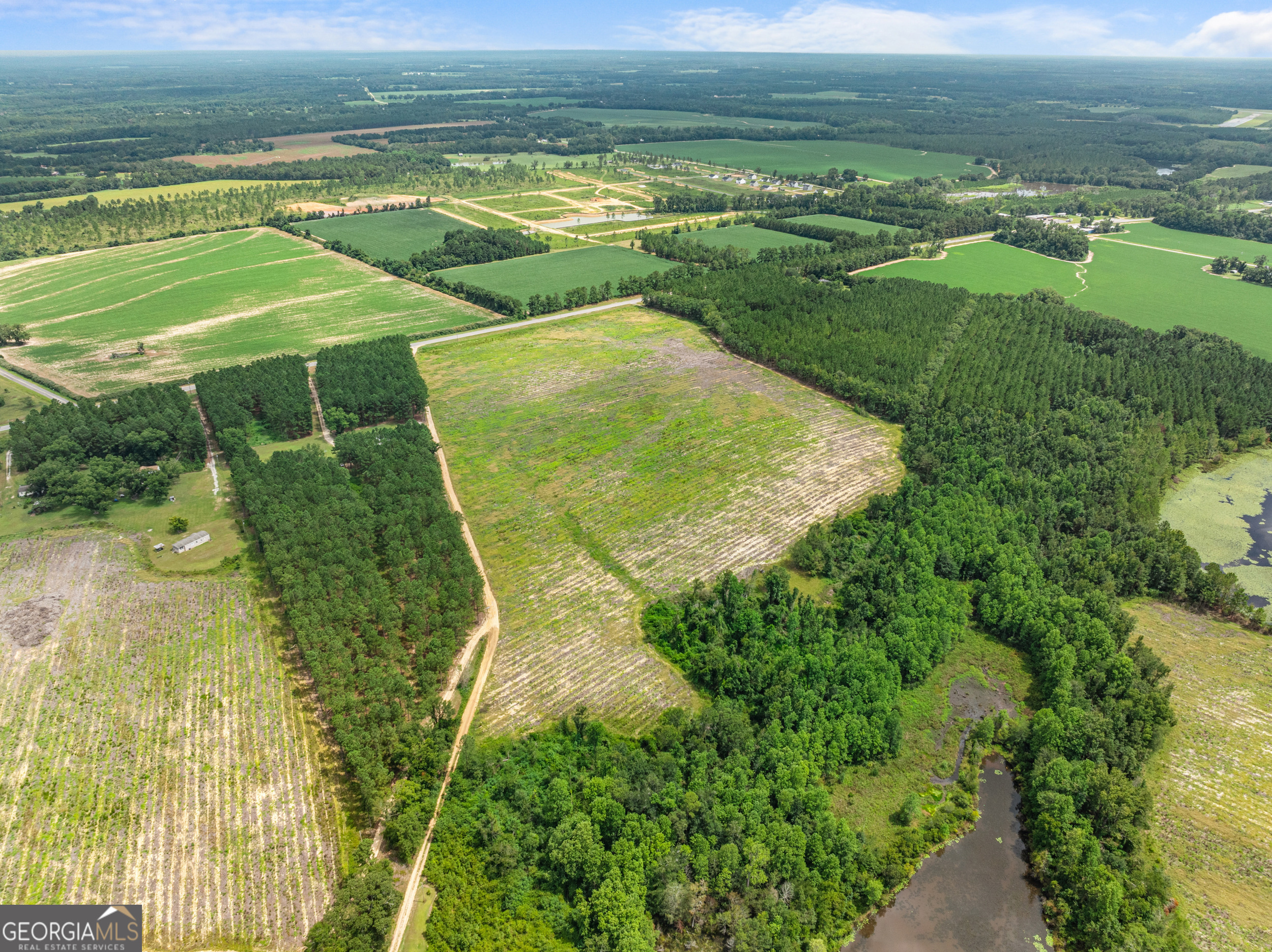 Statesboro, Georgia, 30458, United States, ,Land,For Sale,1911473