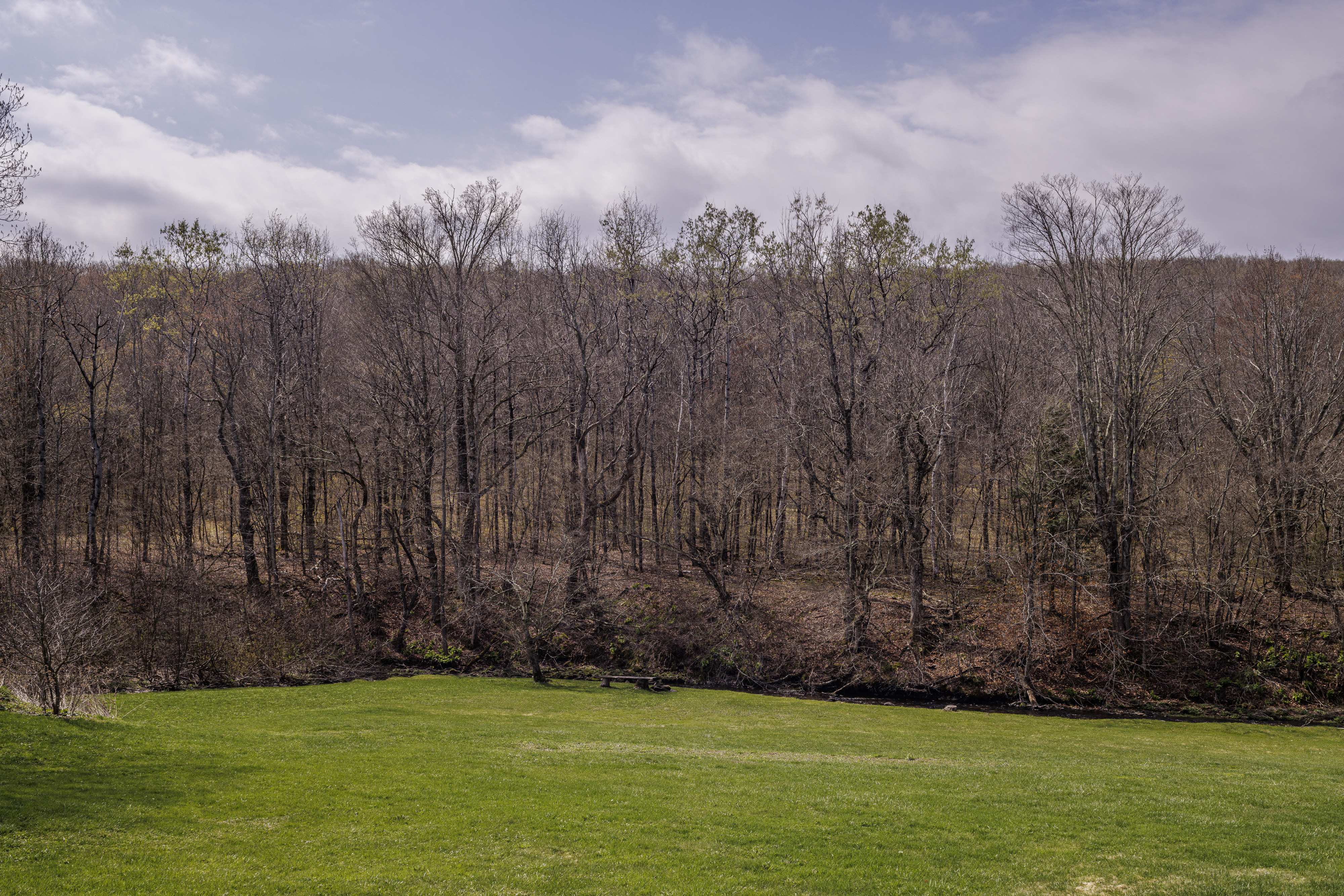  749 County Route 353, Rensserlaerville , NY 12147 - 物件實景