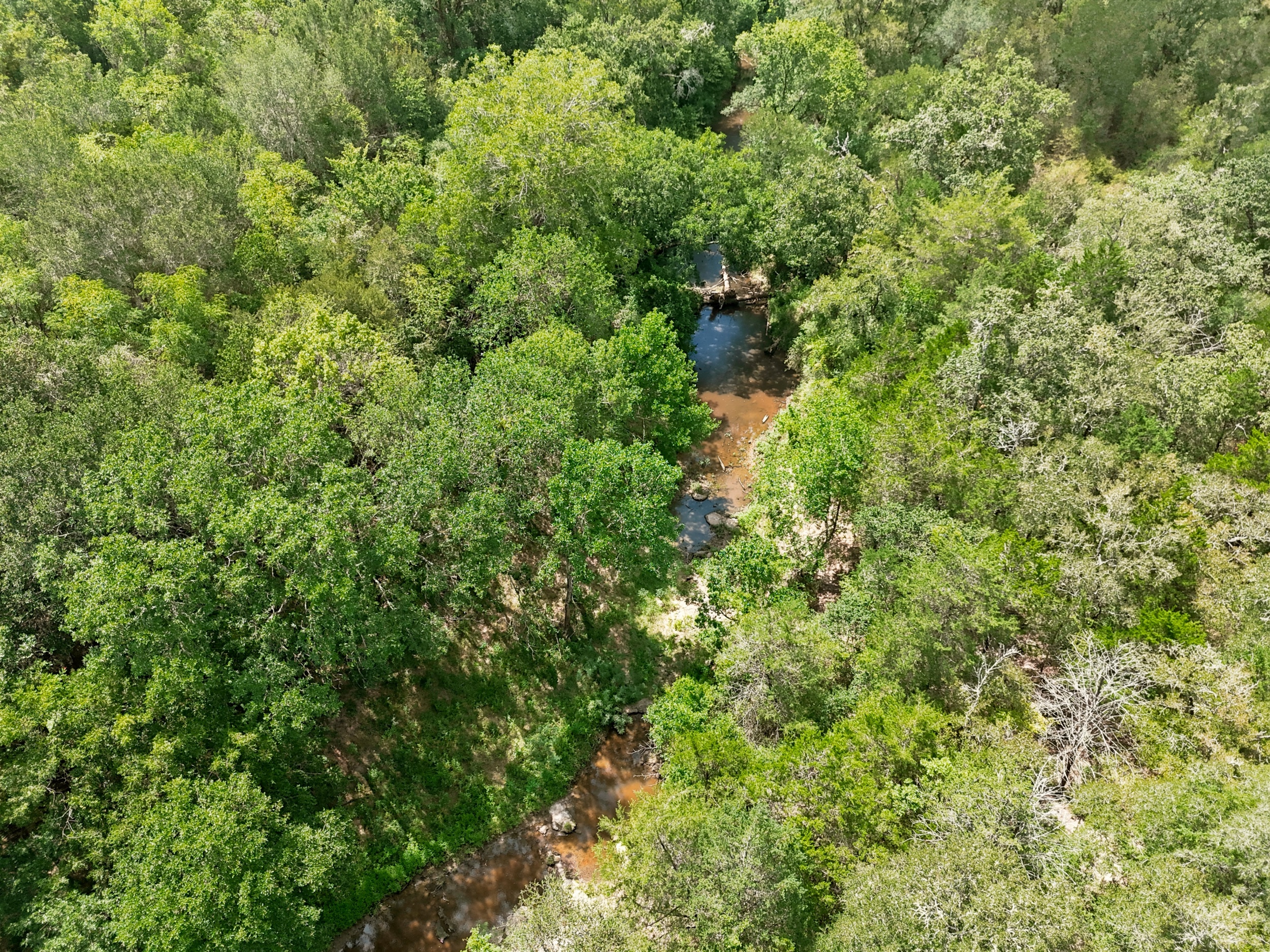  Bar Nothing Ranch, Fayette County - 物件實景