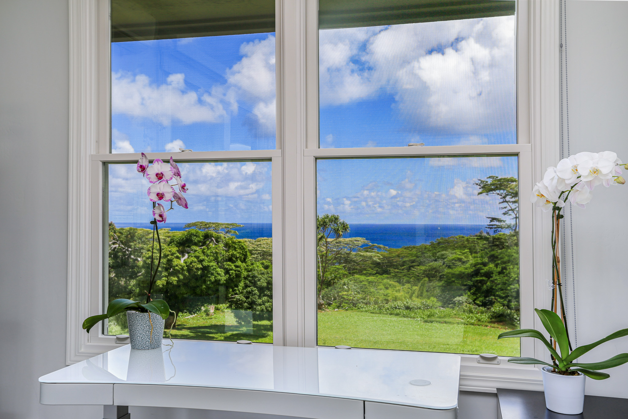  4858 Kahiliholo Rd, Unit #3 Kilauea, HI, 96754 - 物件實景