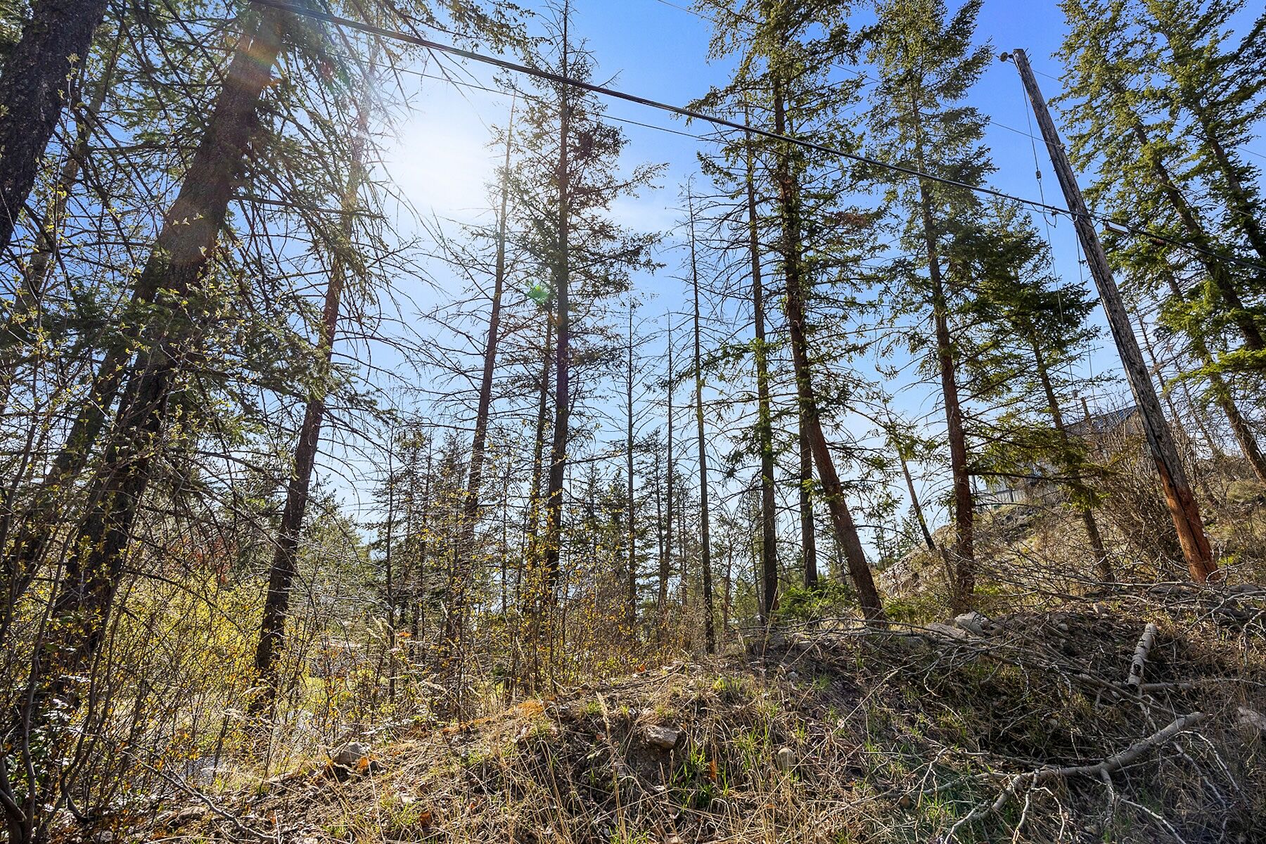  Opportunity in Vernon - 物件實景