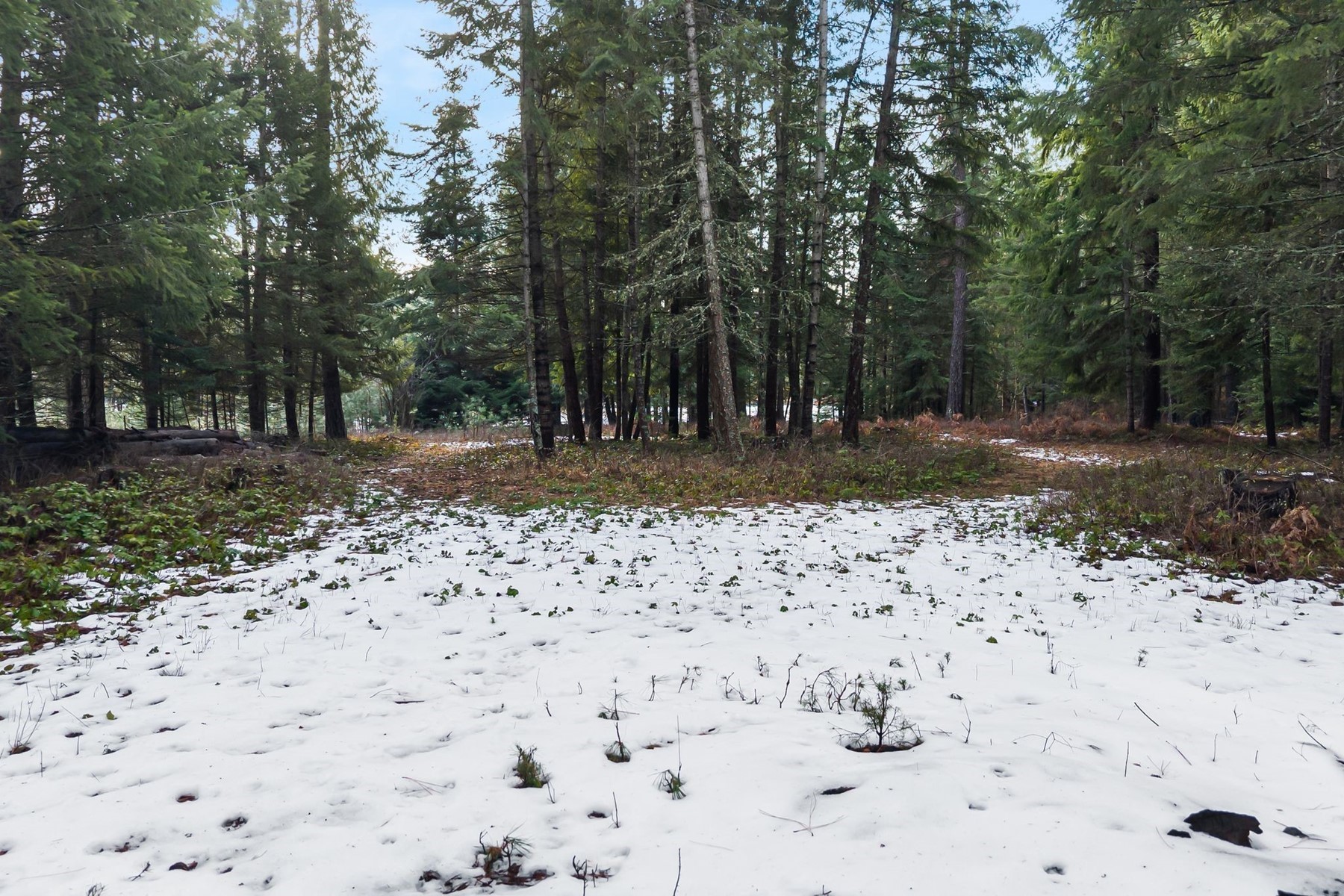  Charming Country Home on 10 Acres - 物件實景