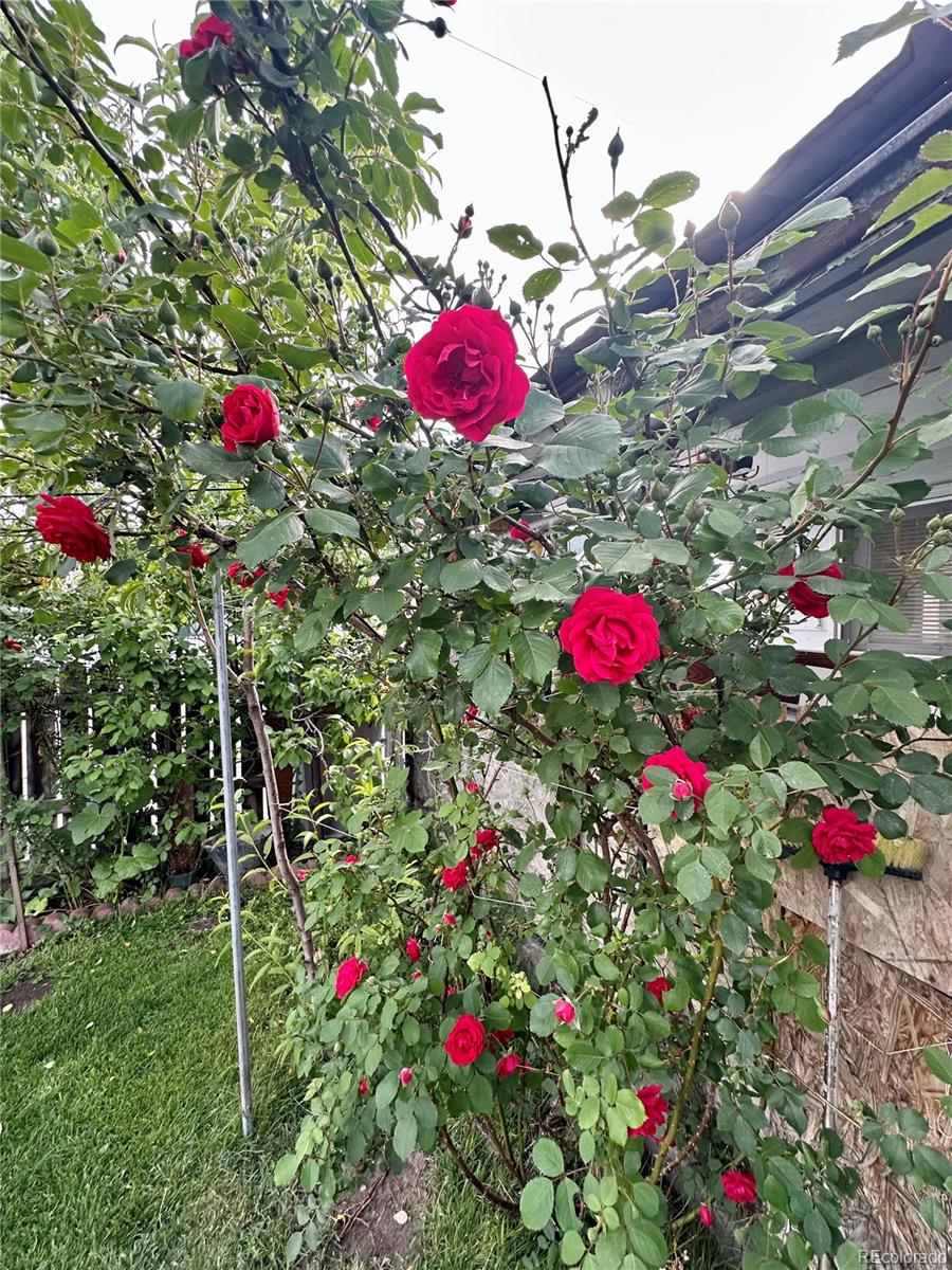 Salida, Colorado, 81201, United States, 3 Bedrooms Bedrooms, ,2 BathroomsBathrooms,Residential,For Sale,1977159