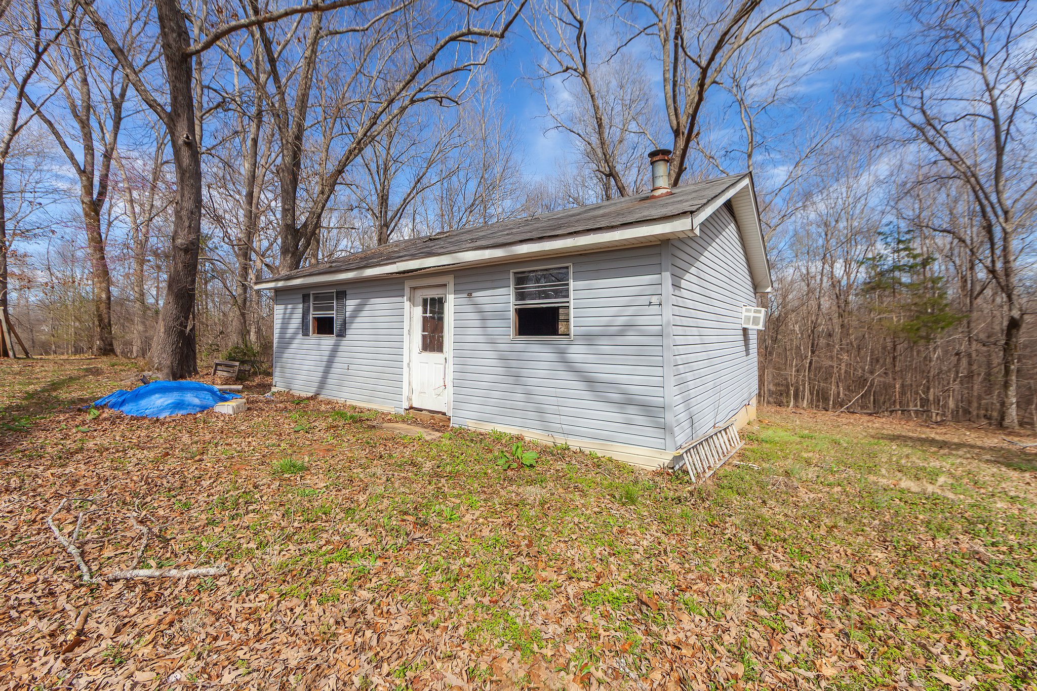 Beech Bluff, Tennessee, 38313, United States, 5 Bedrooms Bedrooms, ,3 BathroomsBathrooms,Residential,For Sale,1743753