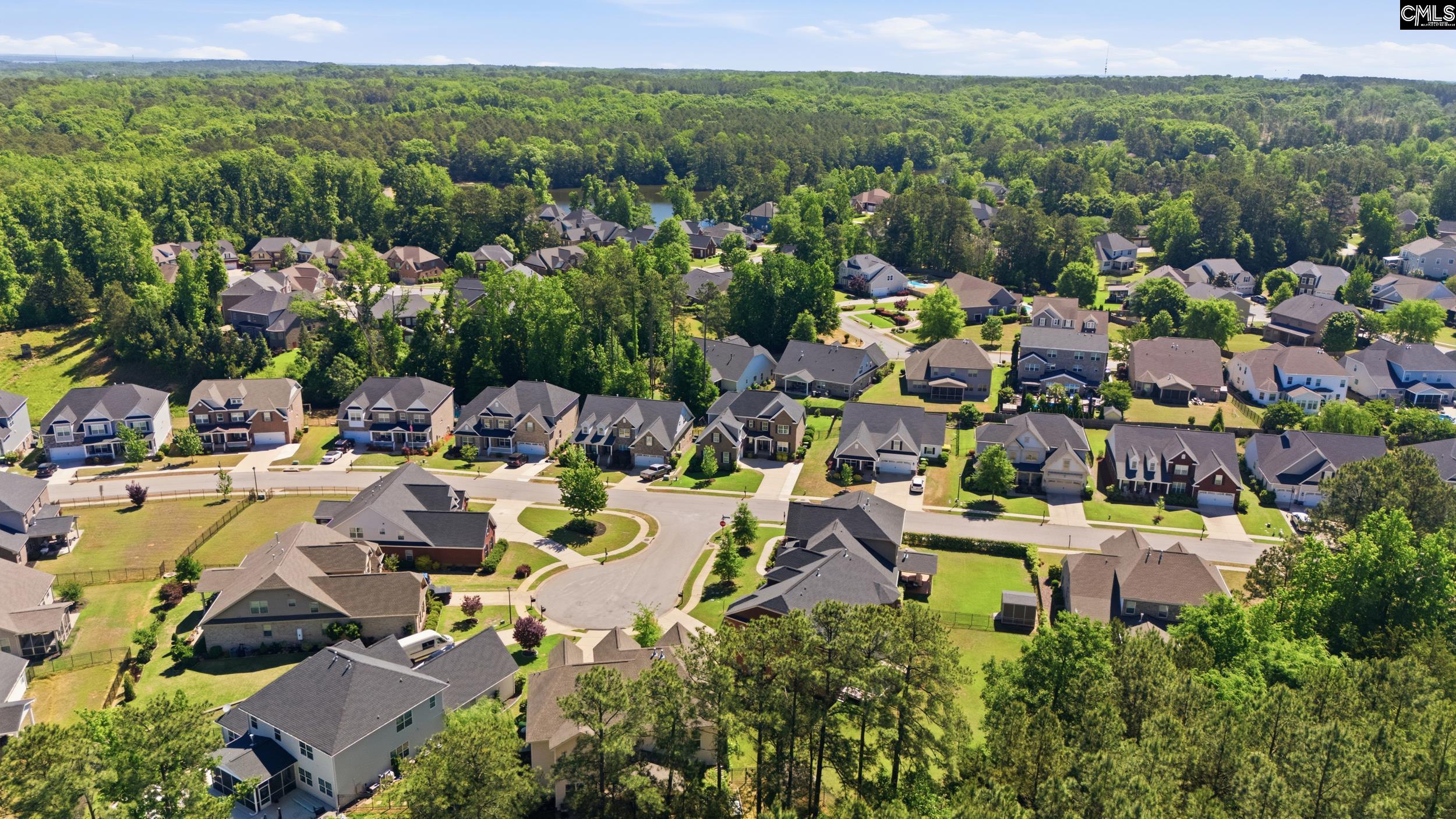 Lexington, South Carolina, 29072, United States, 4 Bedrooms Bedrooms, ,4 BathroomsBathrooms,Residential,For Sale,2048940