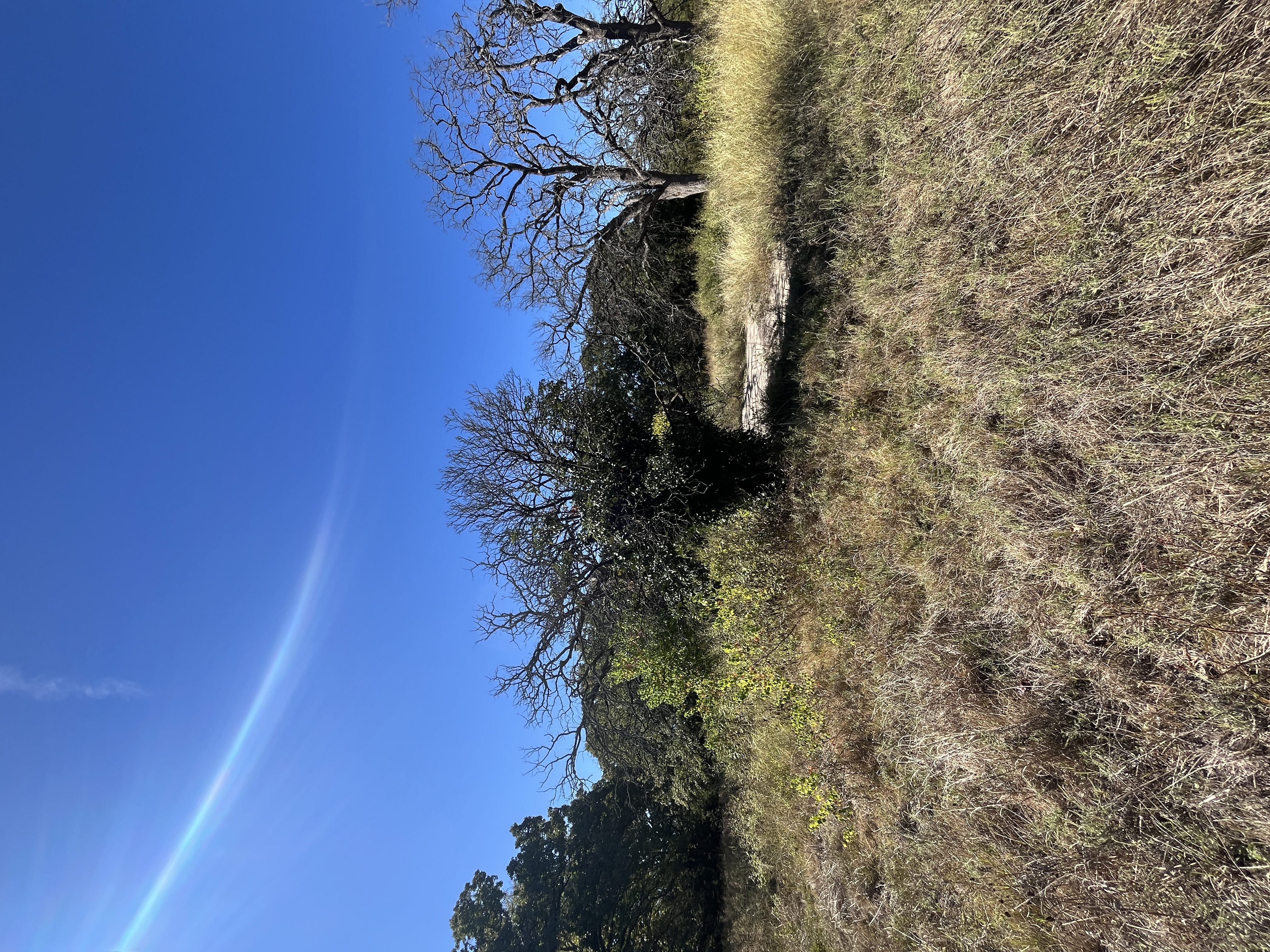 West Tawakoni, Texas, 75474, United States, ,Land,For Sale,1975357