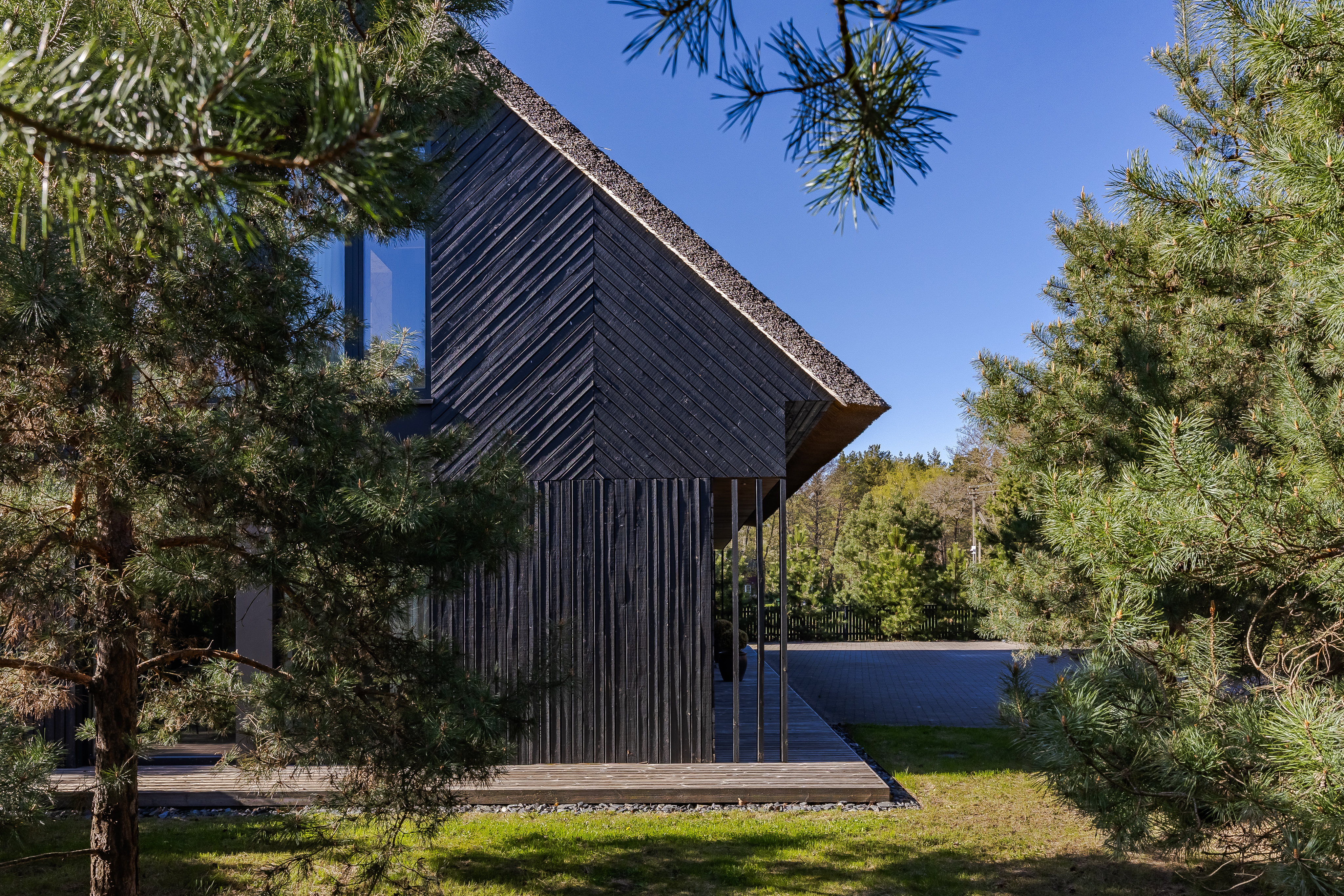  A house by the Baltic Sea surrounded by pines - 物件實景