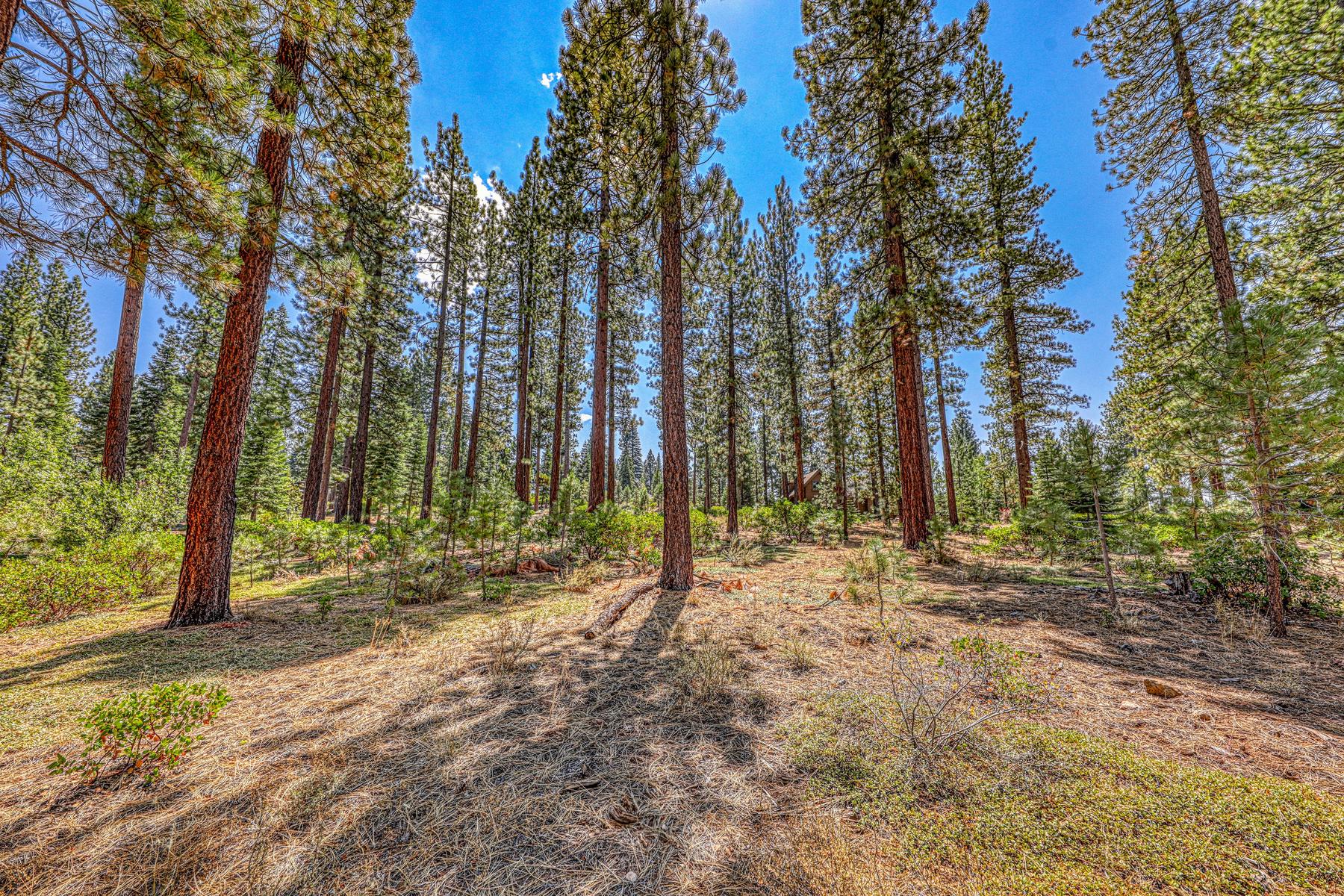  Gorgeous .63 acre Homesite in Truckee