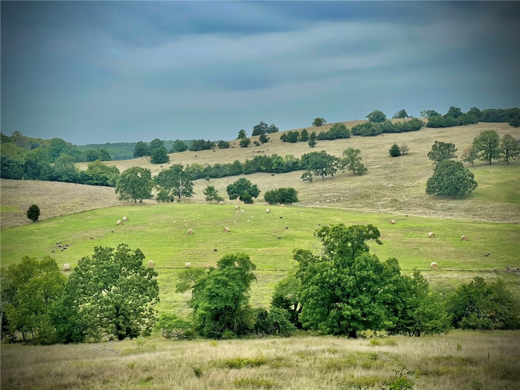 Berryville, Arkansas, 72616, United States, 6 Bedrooms Bedrooms, ,4 BathroomsBathrooms,Residential,For Sale,1988341