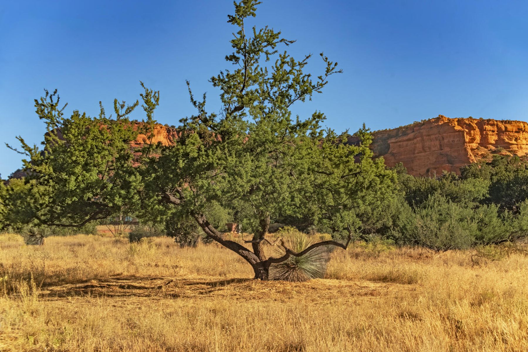  80 Altair Avenue¦Sedona, AZ - 物件實景