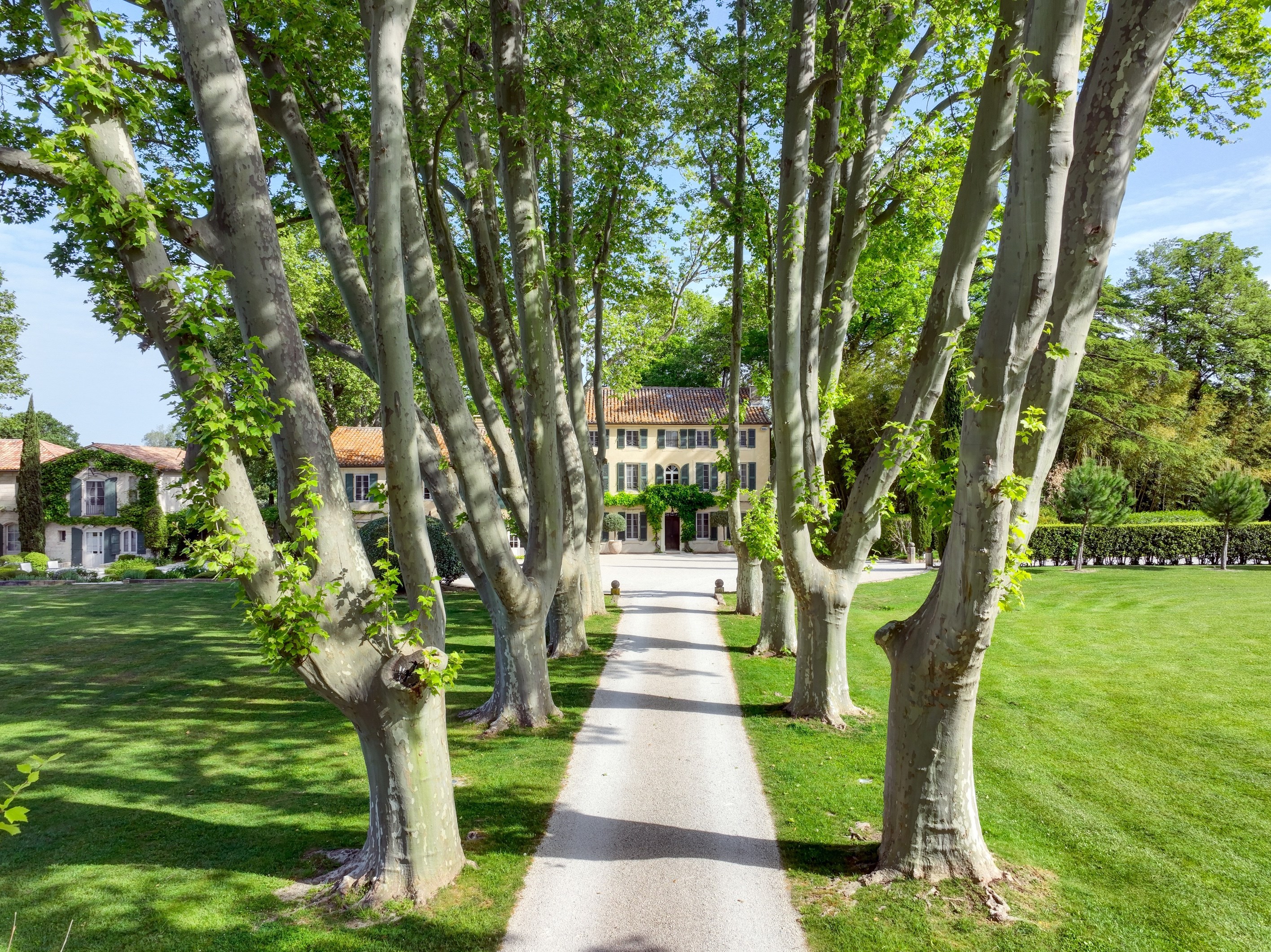  Exceptional family estate in Saint-Rémy-de-Provence - 物件實景