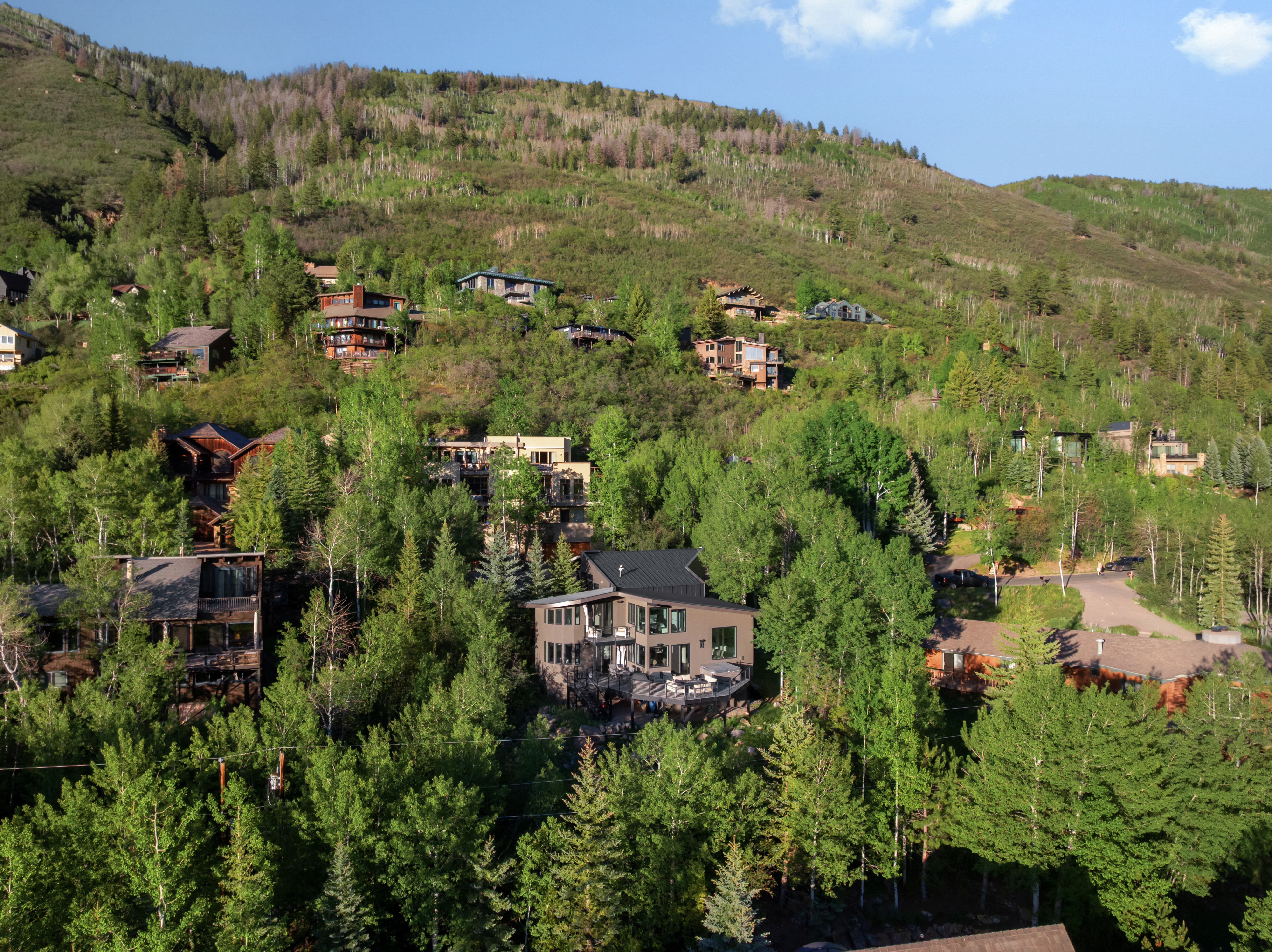  257 Mountain Laurel Drive, Aspen, CO, 81611 - 物件實景