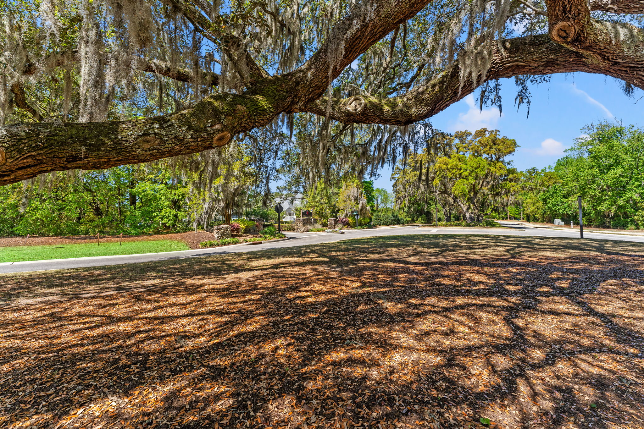  114 Scotch Broom Drive, Little River, SC 29566 - 物件實景