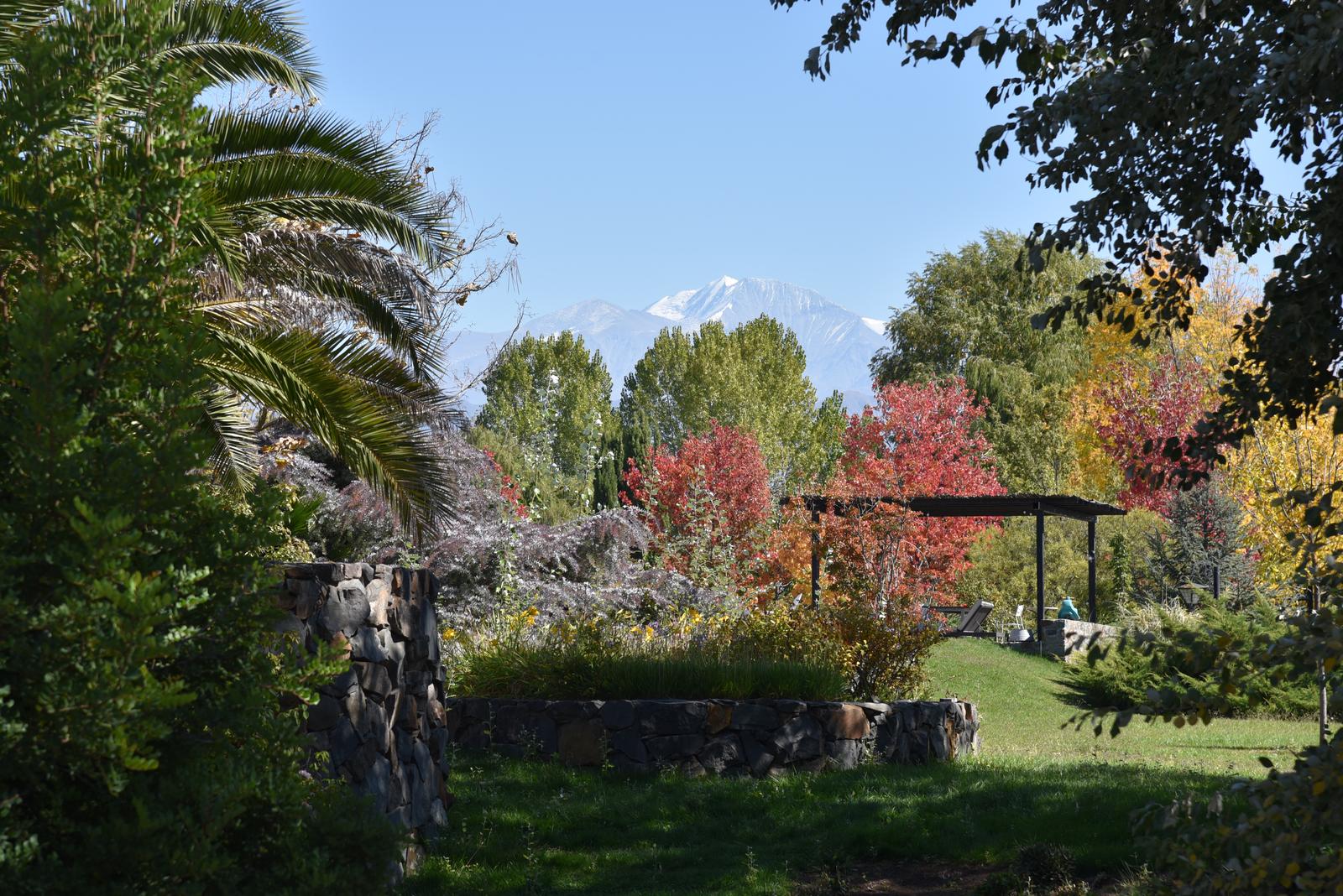 Lujan De Cuyo, AR-M, AR, 5 Bedrooms Bedrooms, ,8 BathroomsBathrooms,Residential,For Sale,1999071