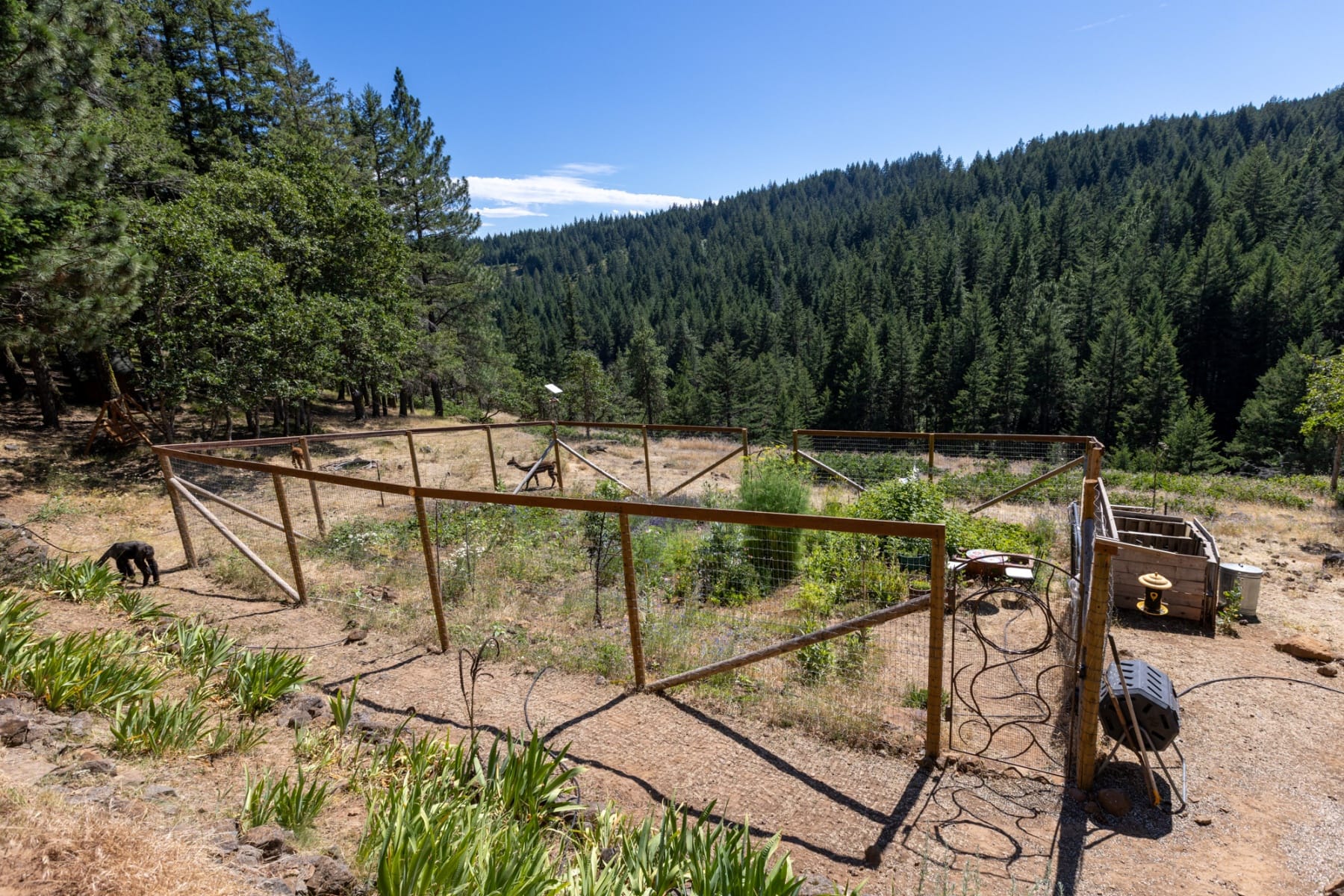 82 MEADOWS LOOP Lyle, WA 98635 - 物件實景