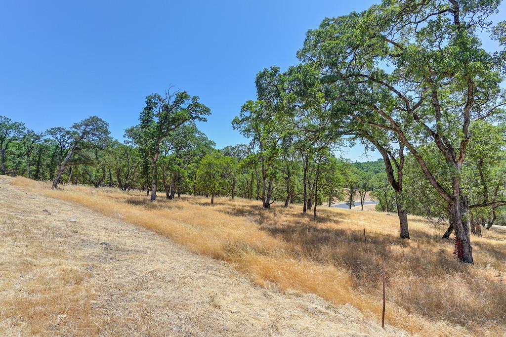 El Dorado Hills, California, 95762, United States, ,Land,For Sale,1874458
