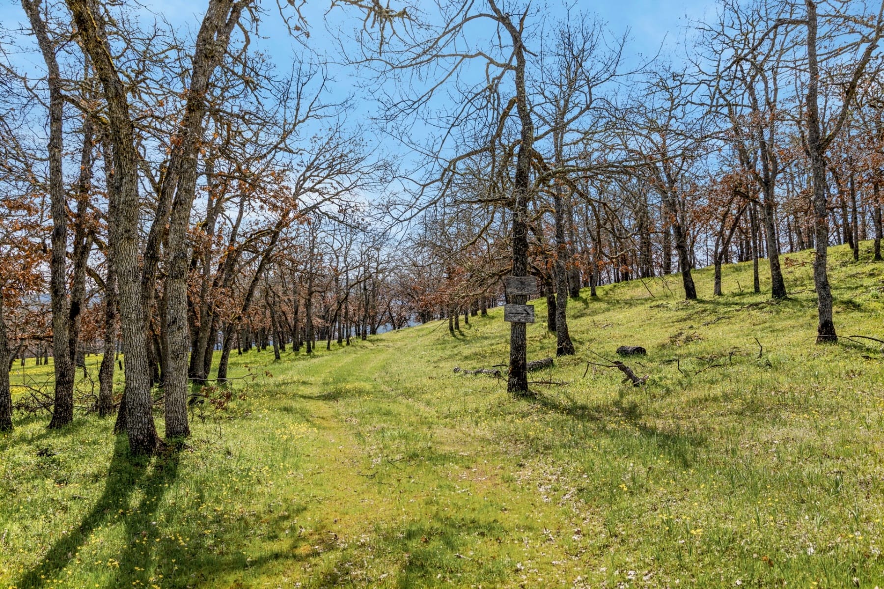  10 CANYON RD Lyle, WA 98635 - 物件實景