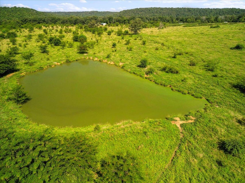 Udall, Missouri, 65766, United States, ,Land,For Sale,1984172