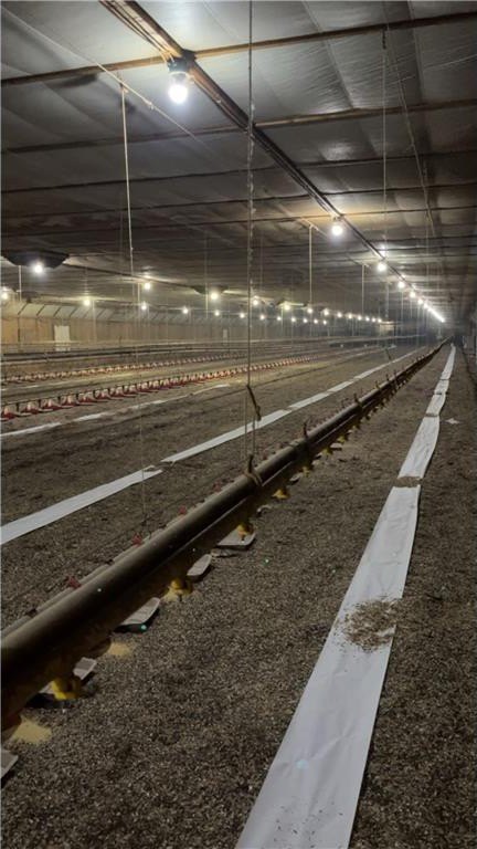 Holdingford, Minnesota, 56340, United States, ,Residential,For Sale,1975144