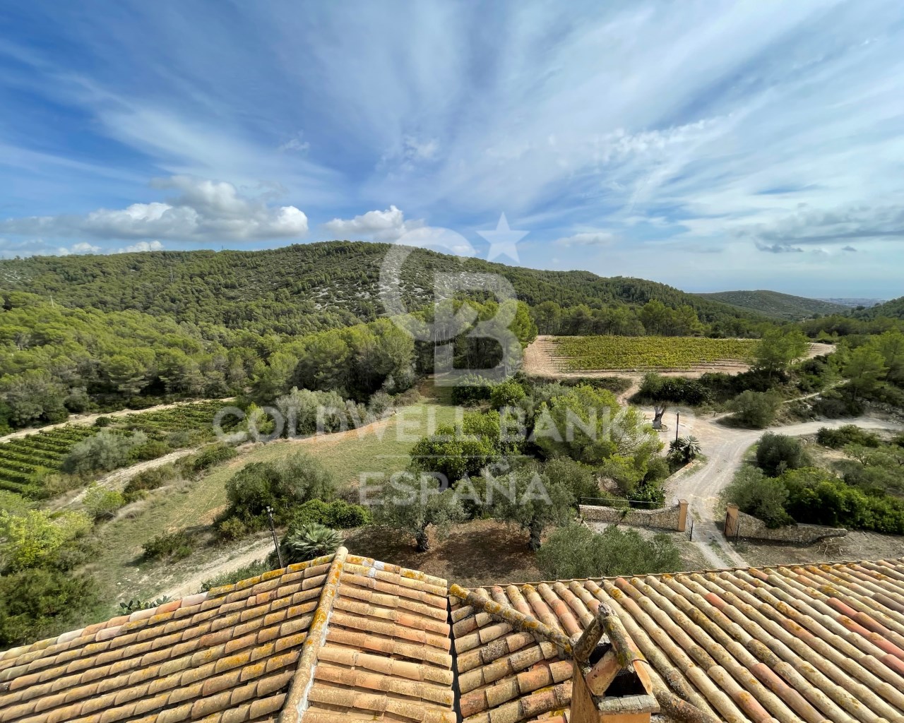 Barcelona, Vilanova i la Geltr?, Nord Barcelona, V, Vilanova i la Geltrú, Catalonia, ES, 18 Bedrooms Bedrooms, ,15 BathroomsBathrooms,Residential,For Sale,Barcelona, Vilanova i la Geltr?, Nord Barcelona, V,1448894