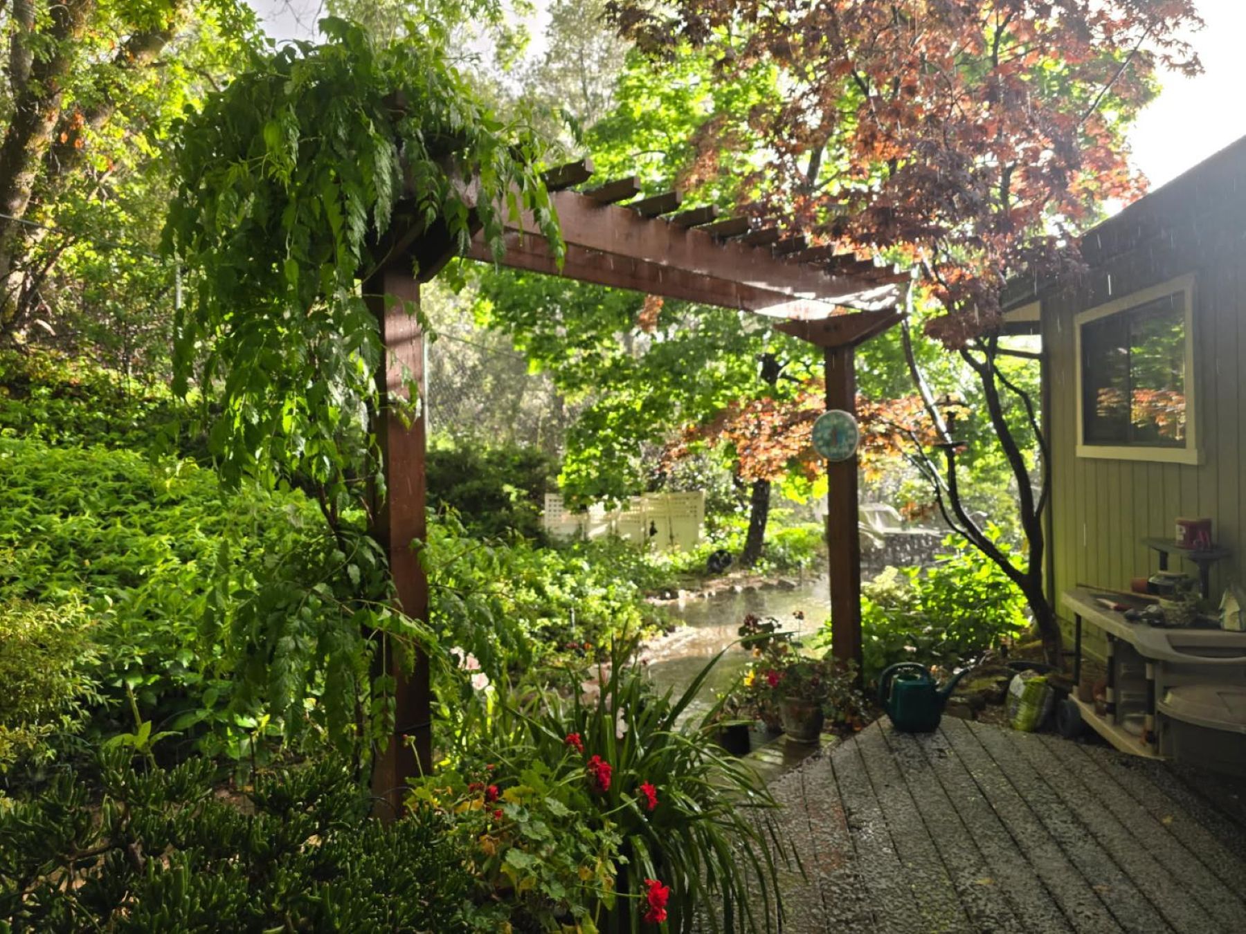  5125 Thomas Drive, Auburn, CA 95602 - 物件實景