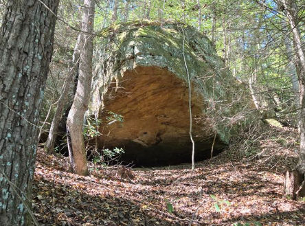 London, Kentucky, 40741, United States, ,Land,For Sale,1982608