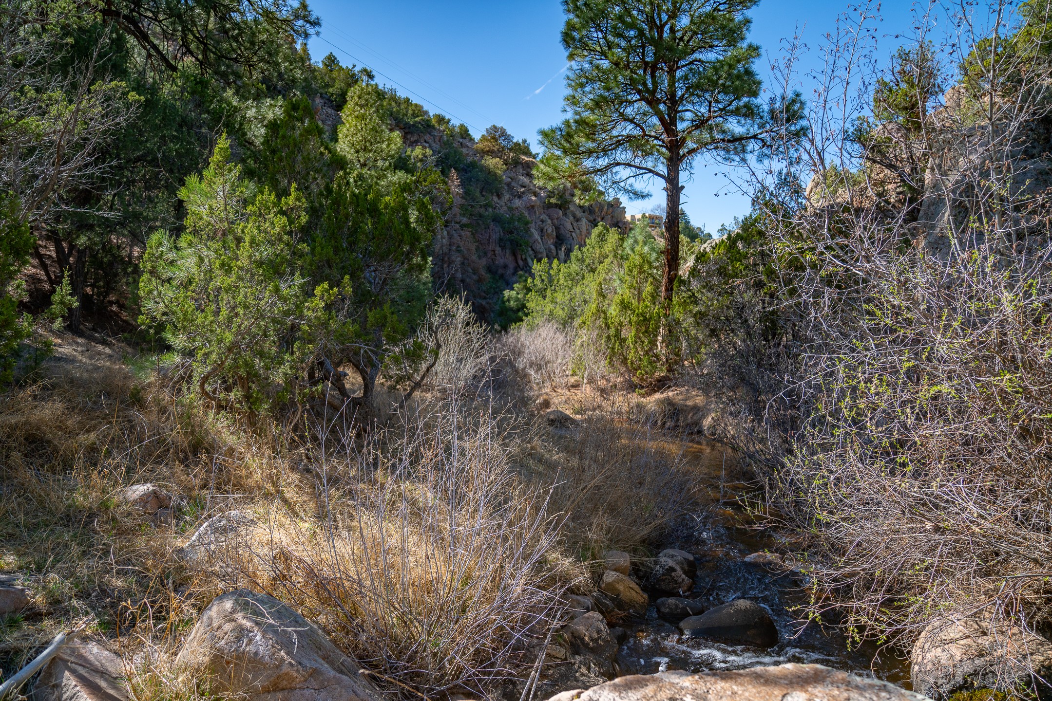  3.5 Acre Lot Camino Del Canon - 物件實景