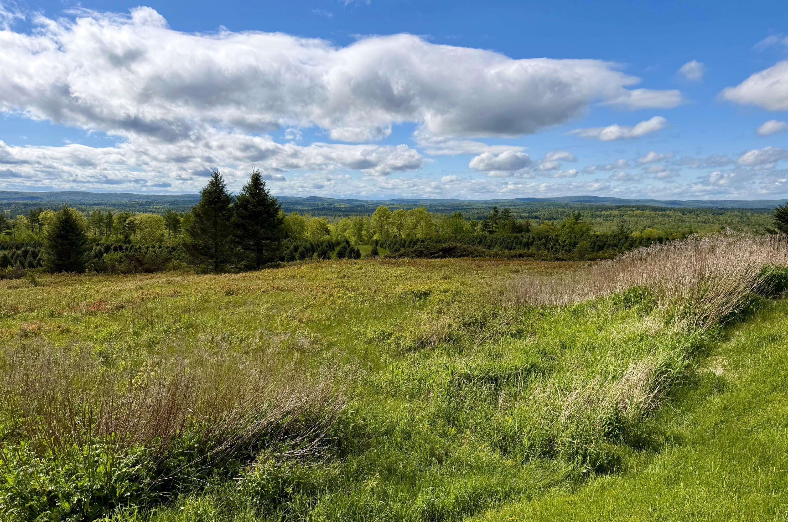 297 Appleton Ridge Road - 物件實景