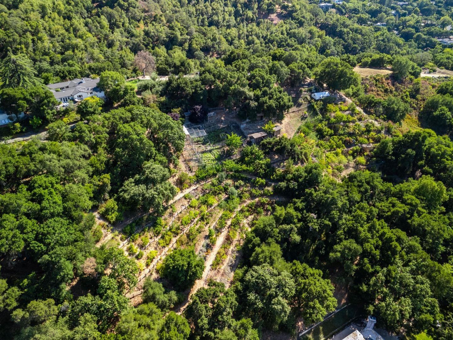Los Gatos, California, 95032, United States, 4 Bedrooms Bedrooms, ,4 BathroomsBathrooms,Residential,For Sale,1918329