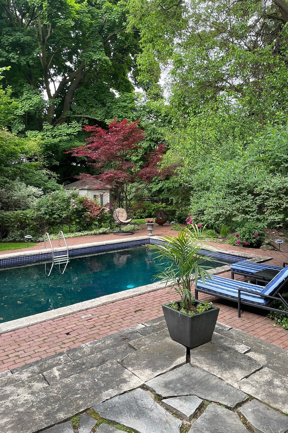  South Hill Family Home - 物件實景