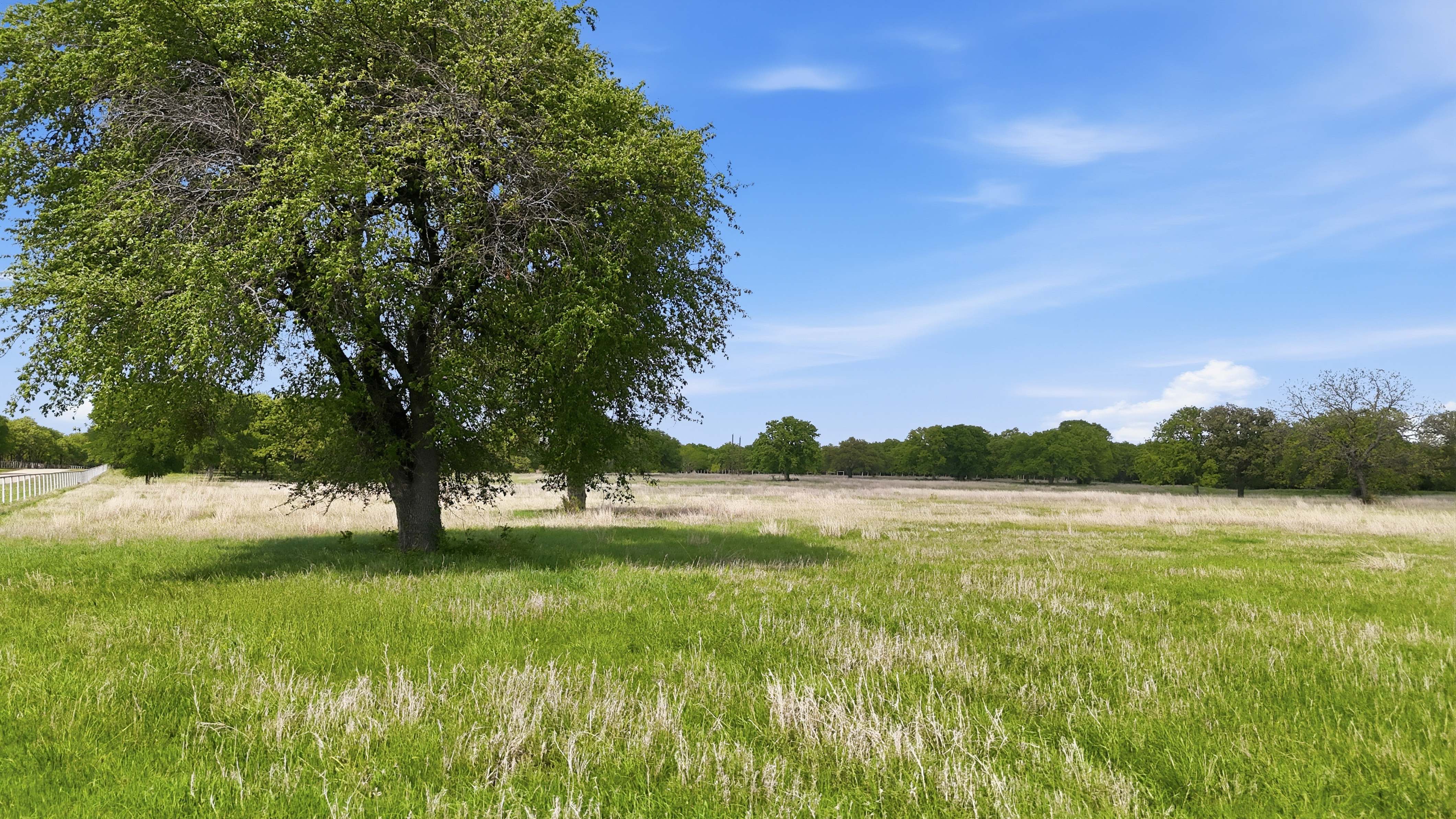 400 River Ranch Road, Aledo, TX, 76008 - 物件實景
