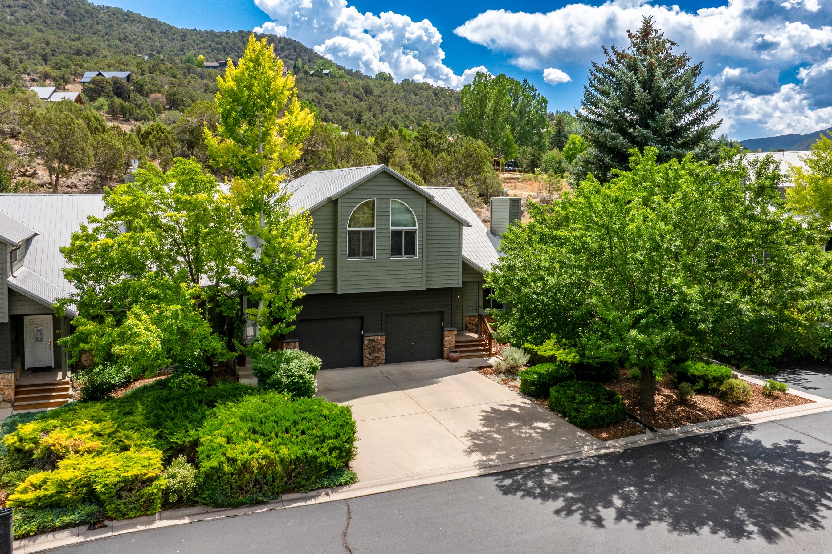  56 Sagewood Court, Basalt, CO 81621 - 物件實景