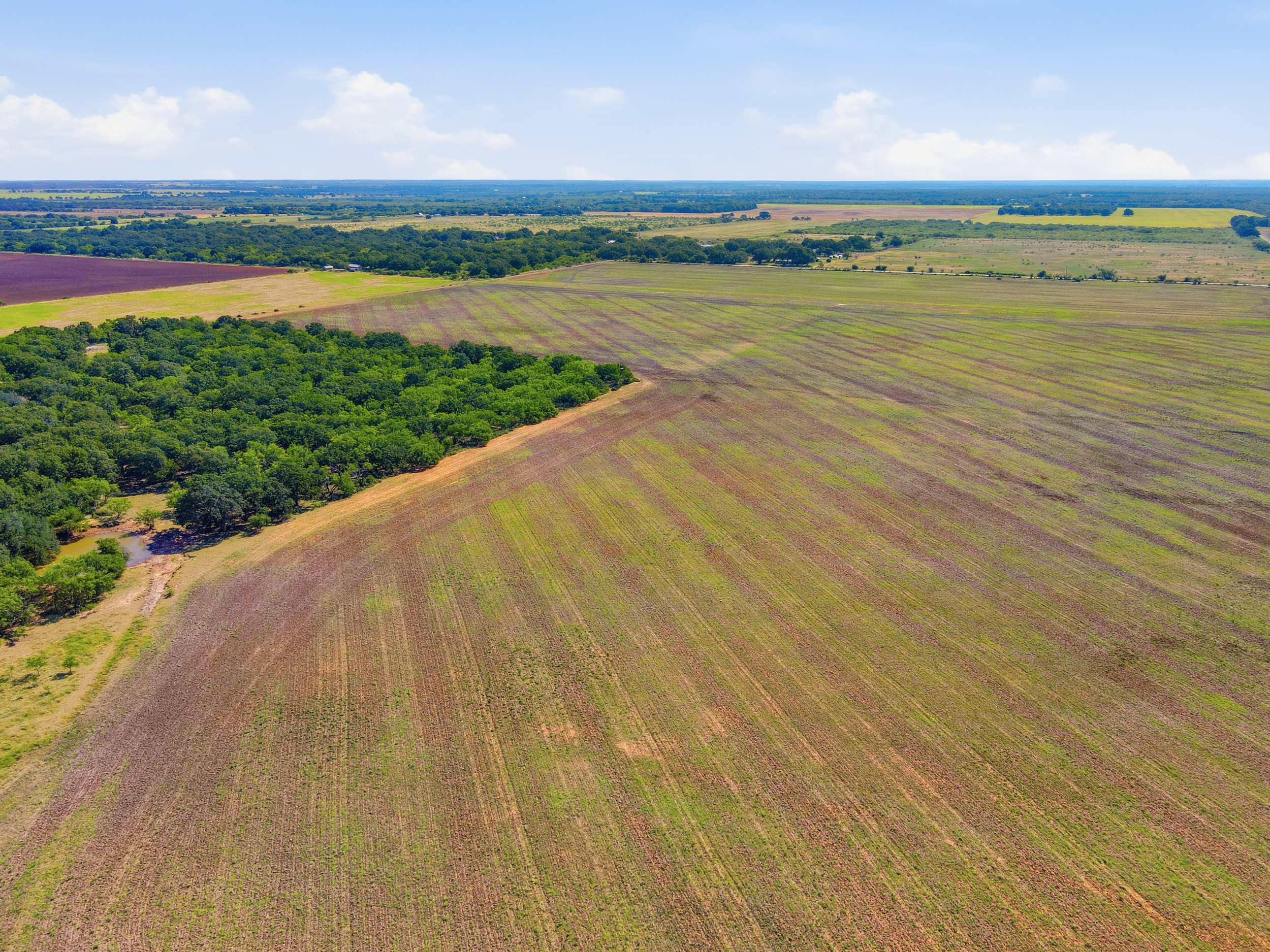  125 Acres of Texas Land for Recreation and Retreat - 物件實景