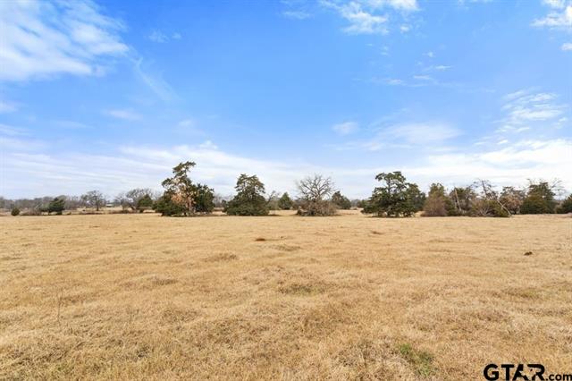 Van, Texas, 75790, United States, ,Land,For Sale,1981017