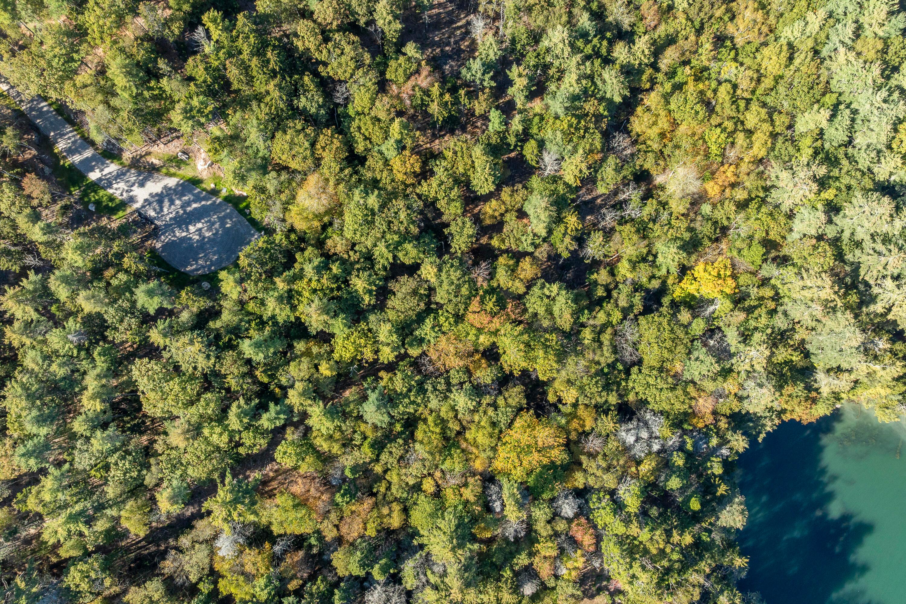  Lot 1-A Midden Ridge Road - 物件實景