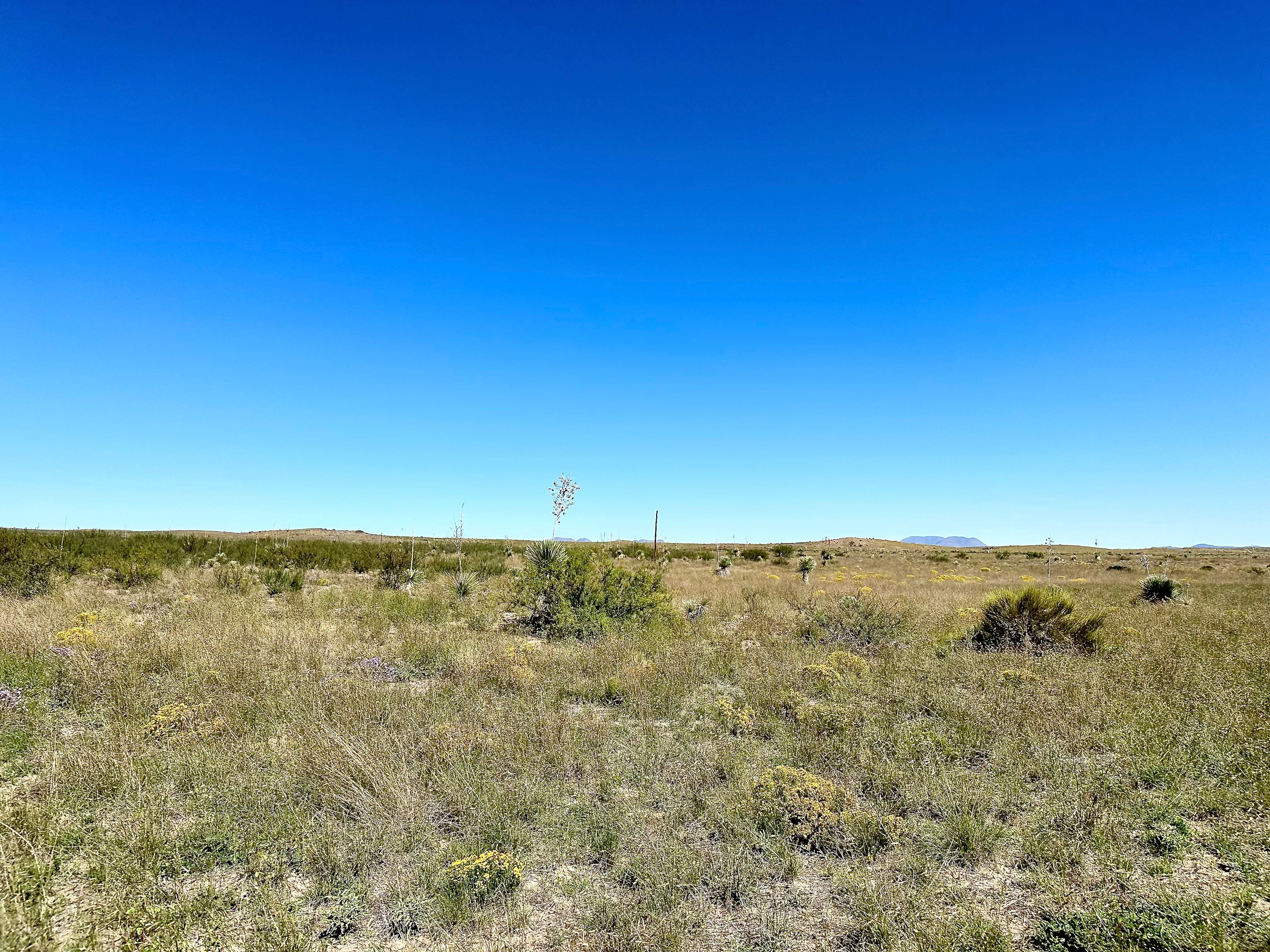  18311 Hwy 90, Marfa, TX 79843 - 物件實景