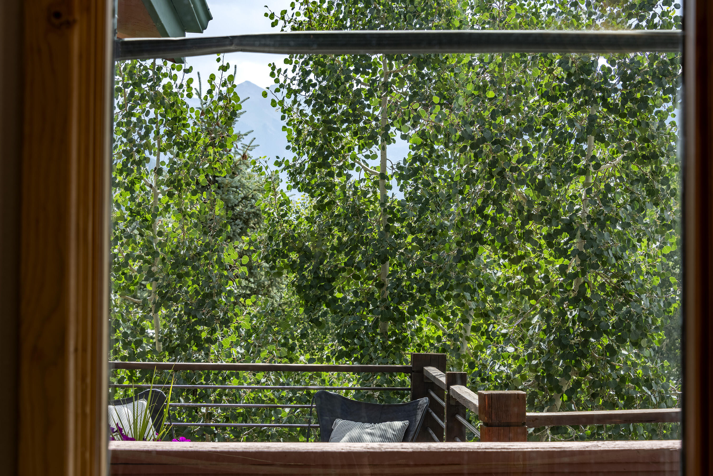 Telluride, Colorado, 81435, United States, 1 Bedroom Bedrooms, ,1 BathroomBathrooms,Residential,For Sale,1903532