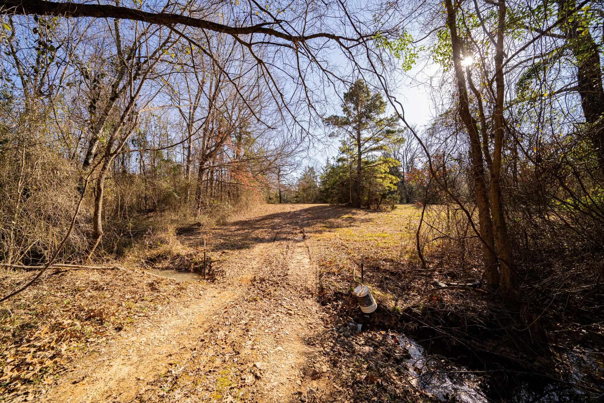 Dekalb, Texas, 75559, United States, ,Land,For Sale,1983481