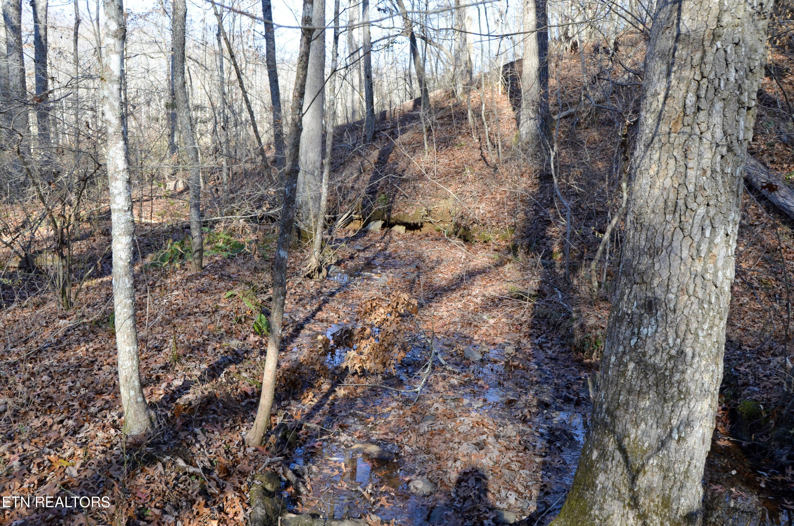 Crossville, Tennessee, 38555, United States, ,Land,For Sale,1978266