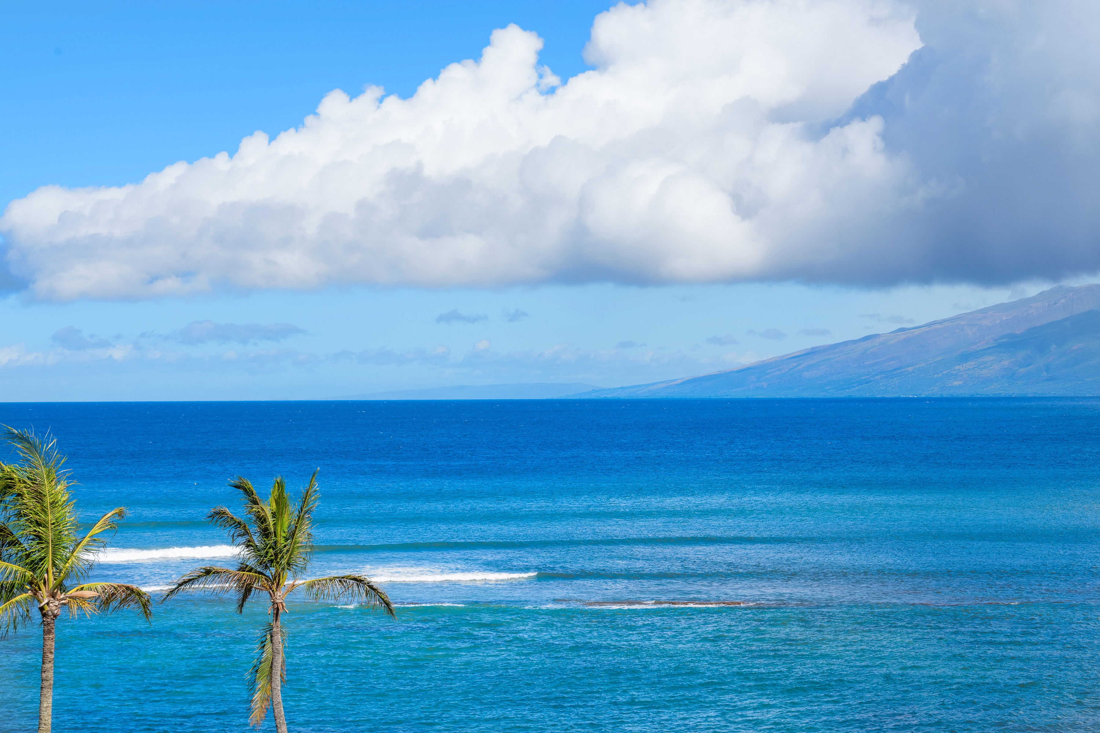  Royal Kahana Studio: STR Zoned, Priced to Sell - 物件實景