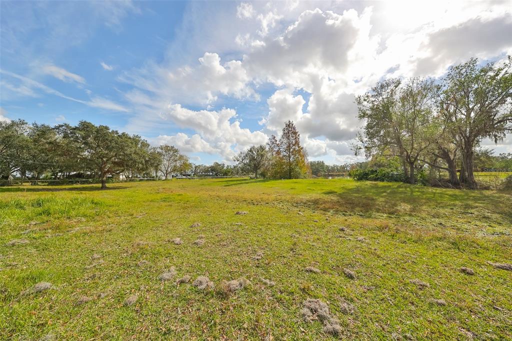 Wimauma, Florida, 33598, United States, ,Land,For Sale,1975638