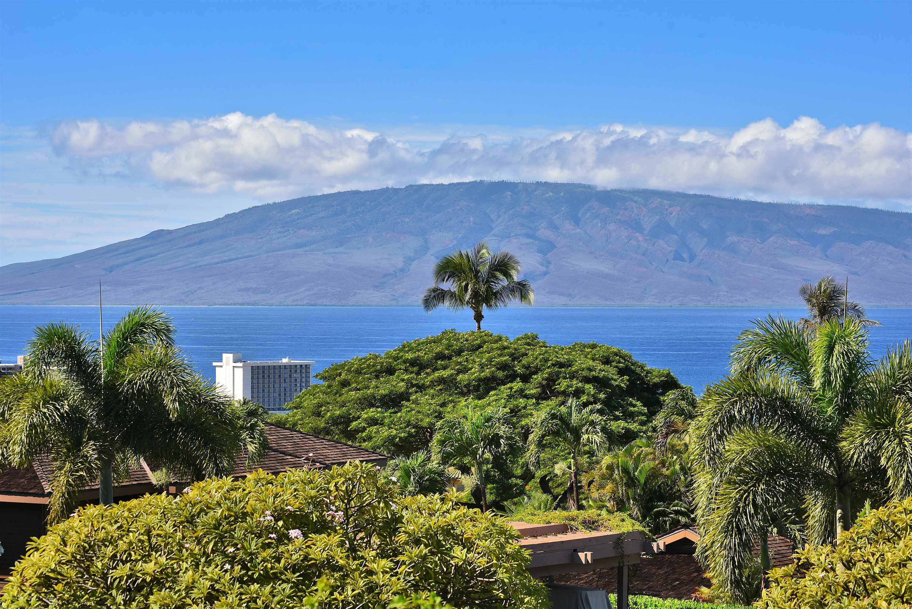 Lahaina, Hawaii, 96761, United States, 1 Bedroom Bedrooms, ,1 BathroomBathrooms,Residential,For Sale,1987609