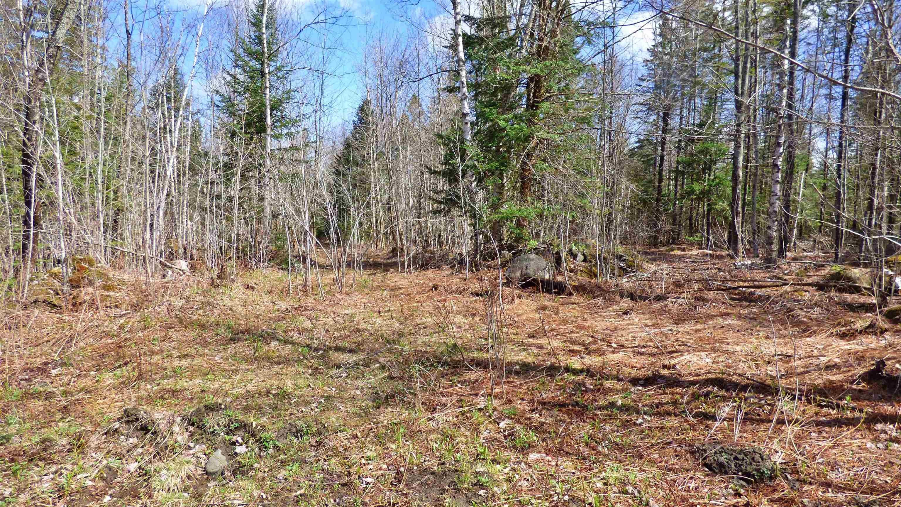Wheelock, Vermont, 05851, United States, ,Land,For Sale,2017669